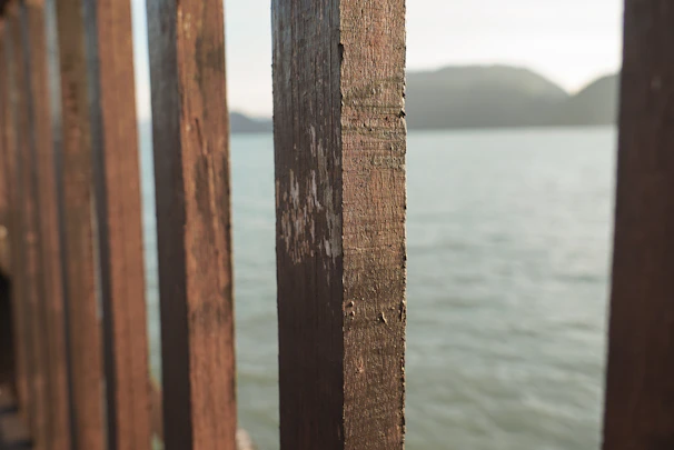 A sturdy wooden fence along a waterfront property, recently sealed with a protective forest green stain to withstand coastal winds.