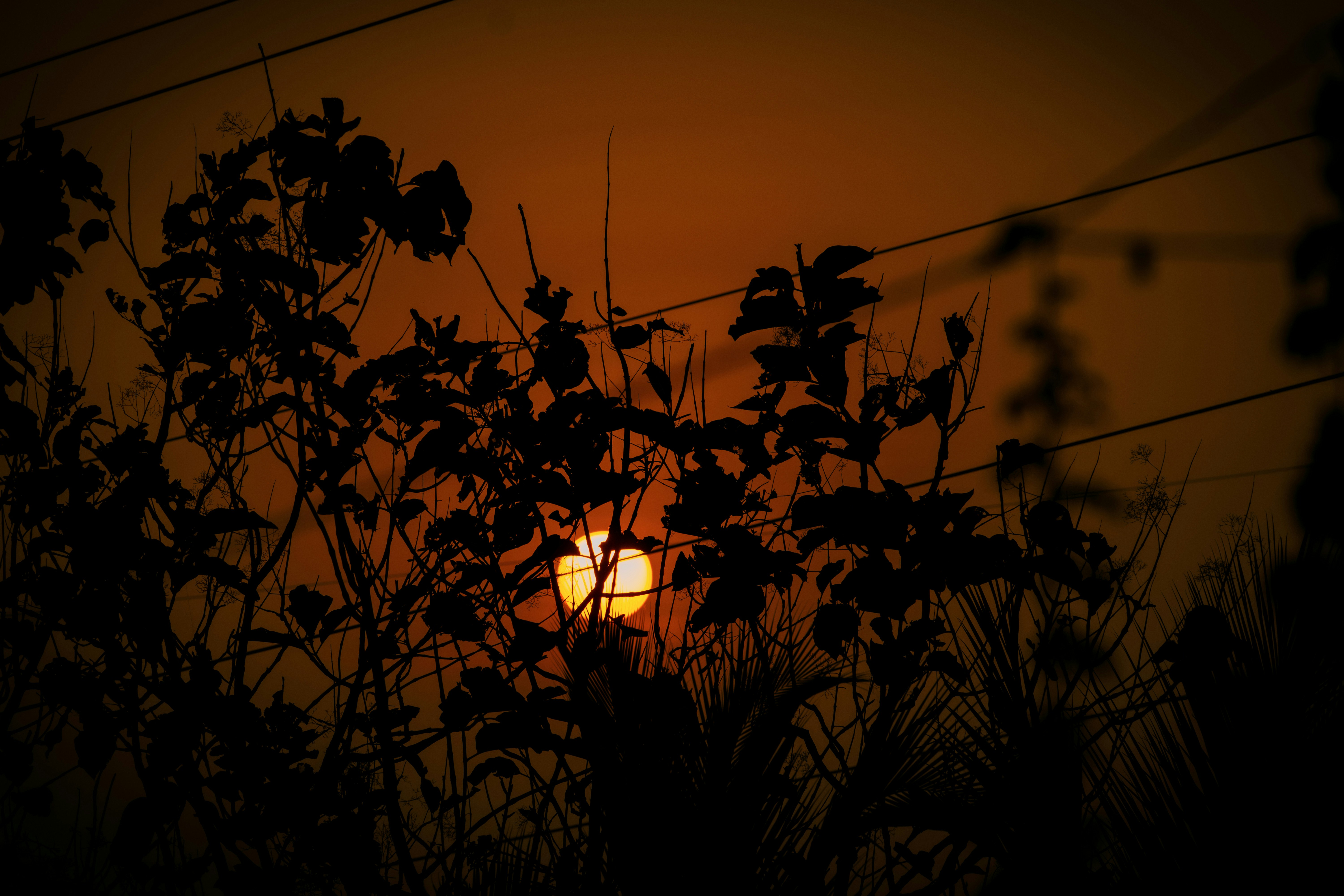 Photo by a_b_captures