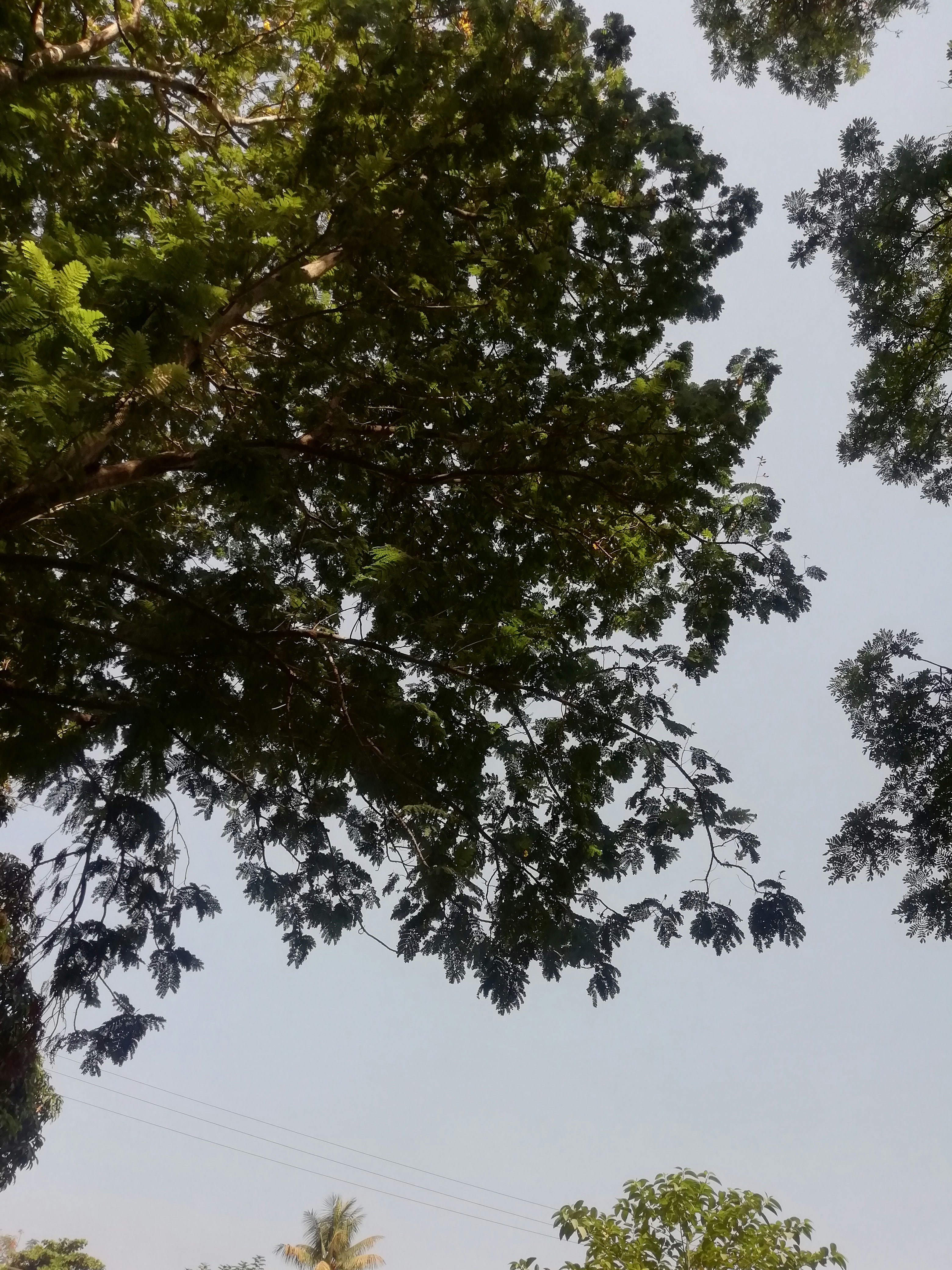 Photo by sunnykumargaya01
