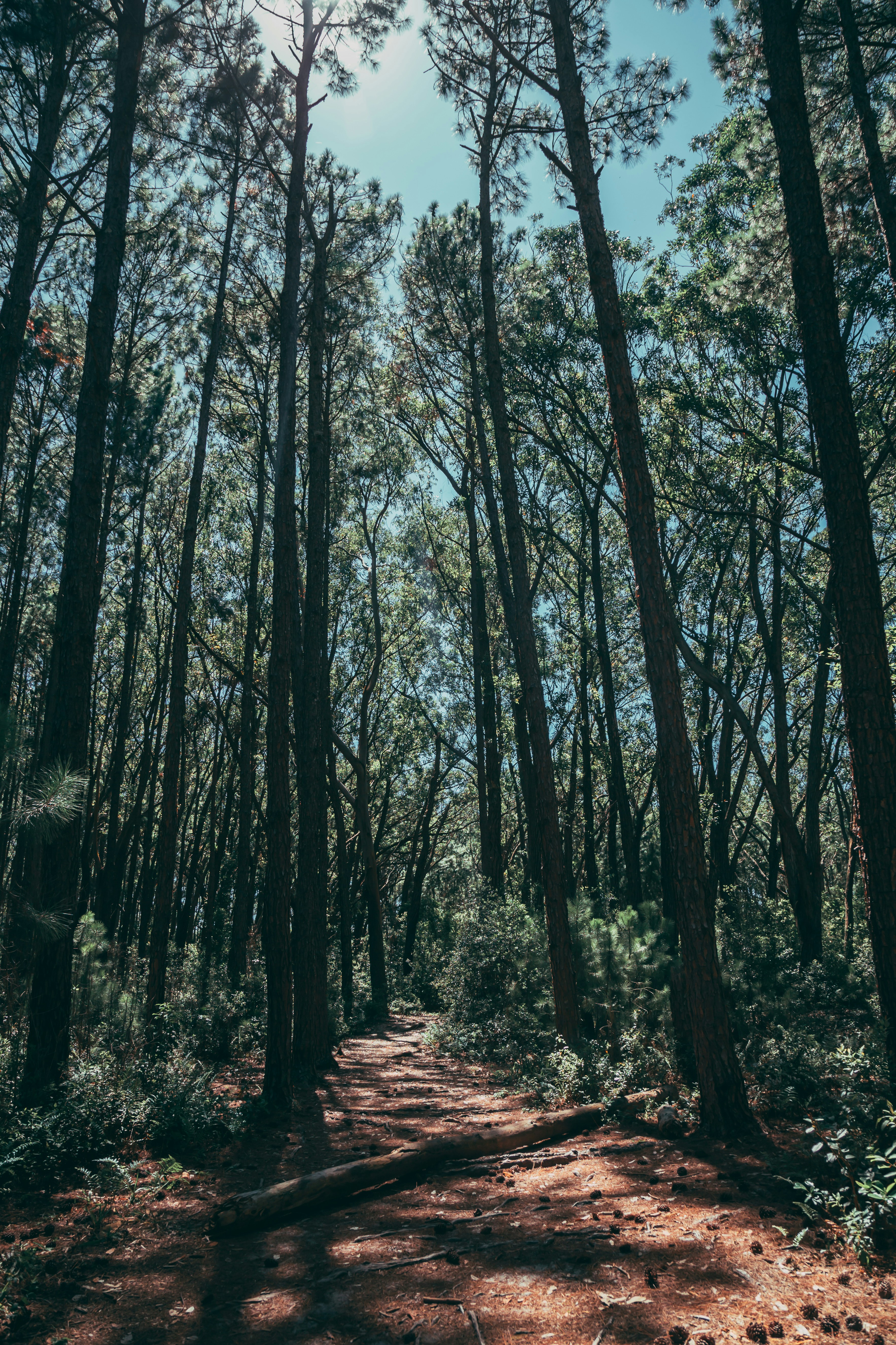 Photo by analiaferrario