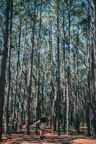 person in black jacket standing in the middle of forest during daytime