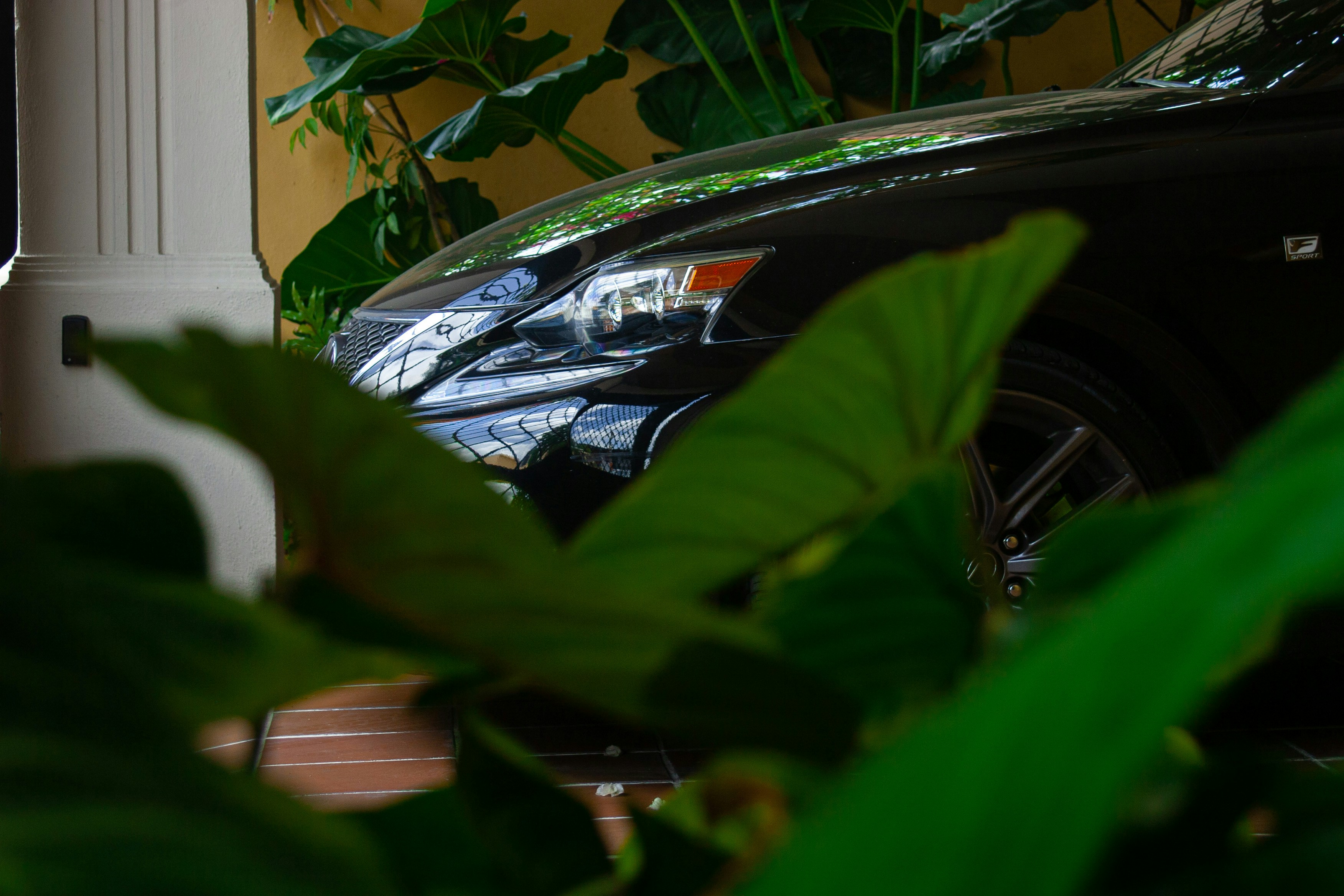 Book Your Detail Today