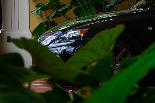 Shiny black car under natural light showing flawless vitrified paint finish.