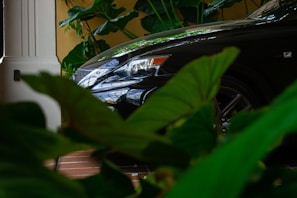 Shiny black car reflecting surroundings after mobile detailing service.