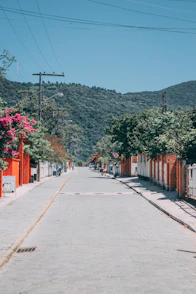 gray concrete road between green trees and mountain during daytime