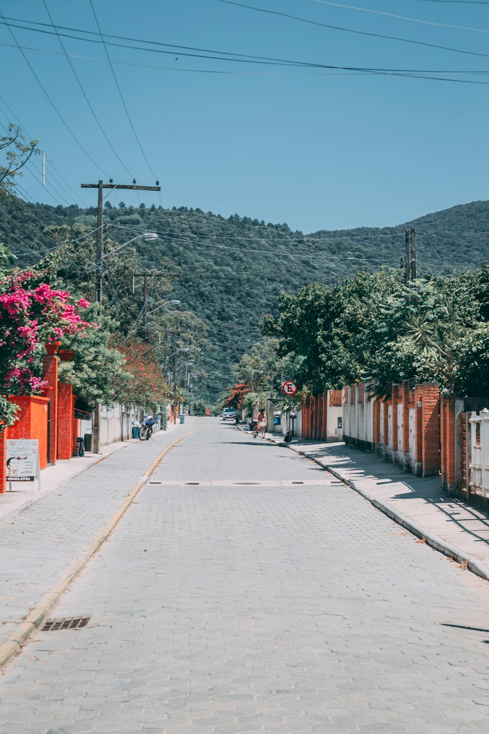 gray concrete road between green trees and mountain during daytime