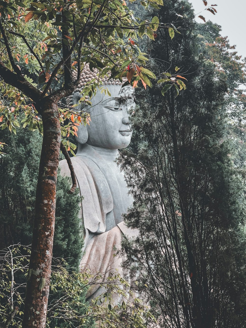 angel statue on tree branch