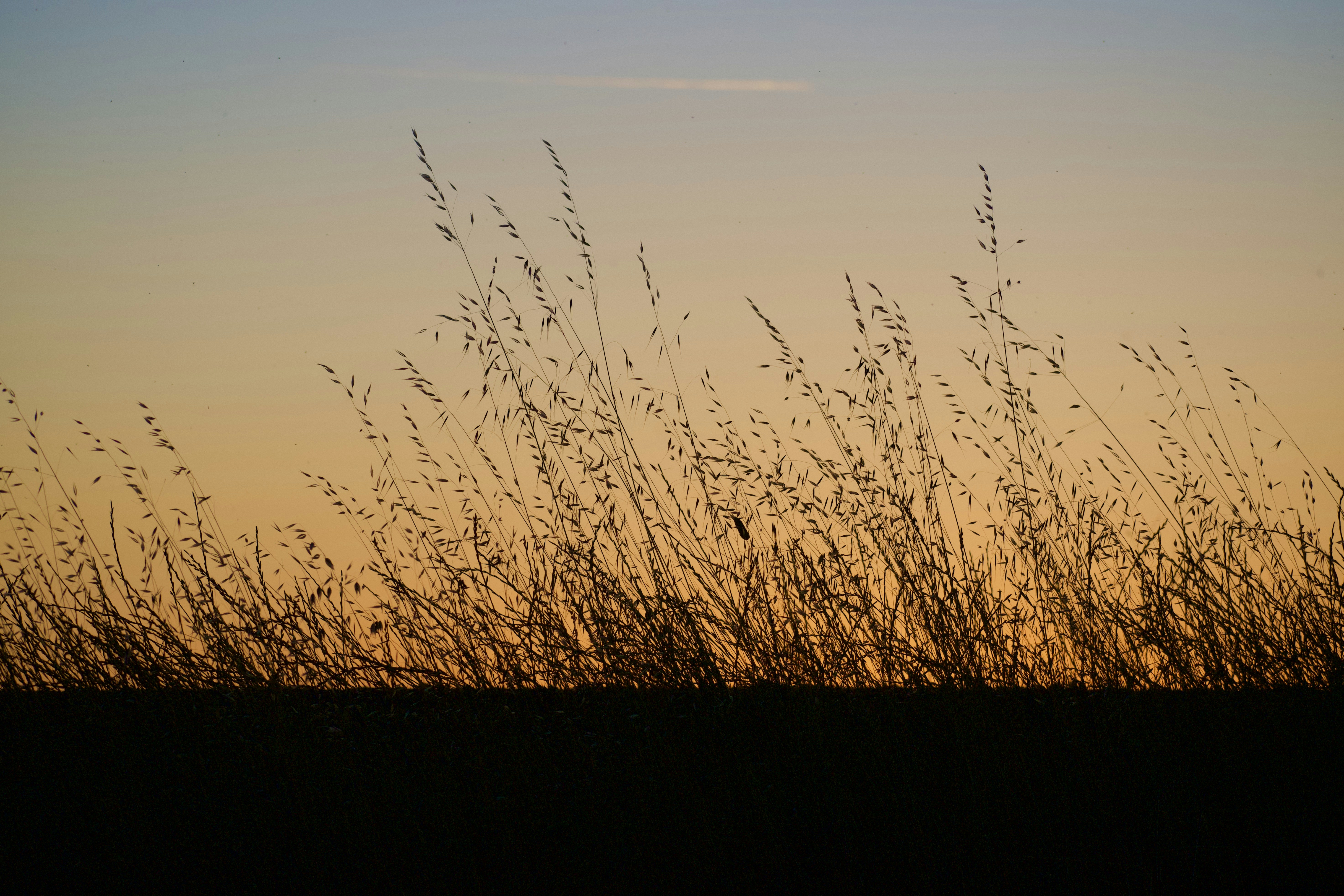 Photo by elisastonephotography