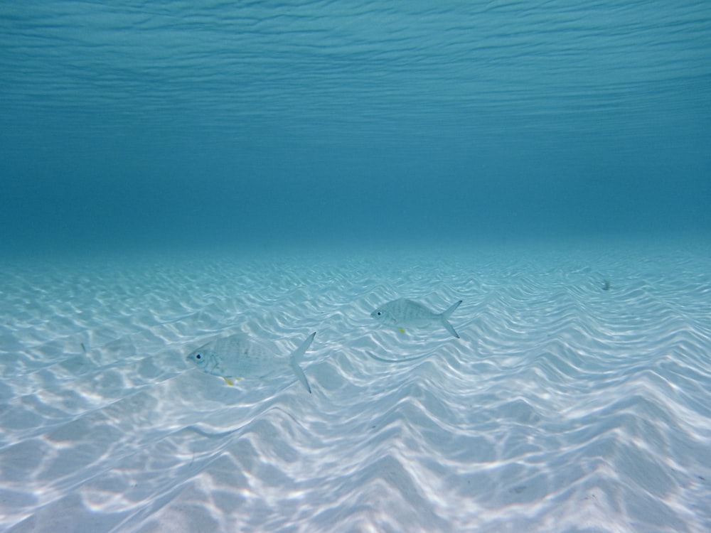 white sand with water during daytime