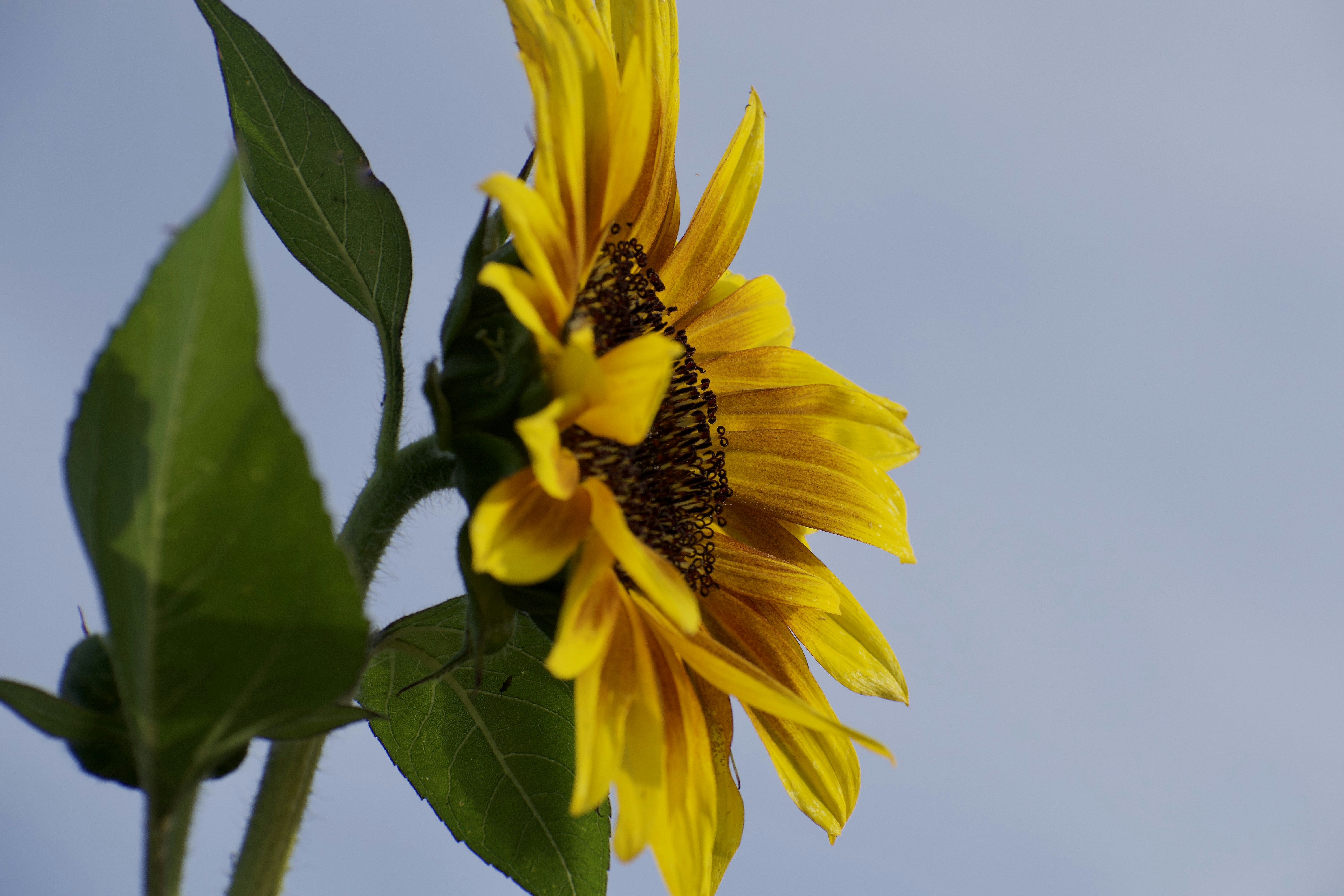 Photo by elisastonephotography