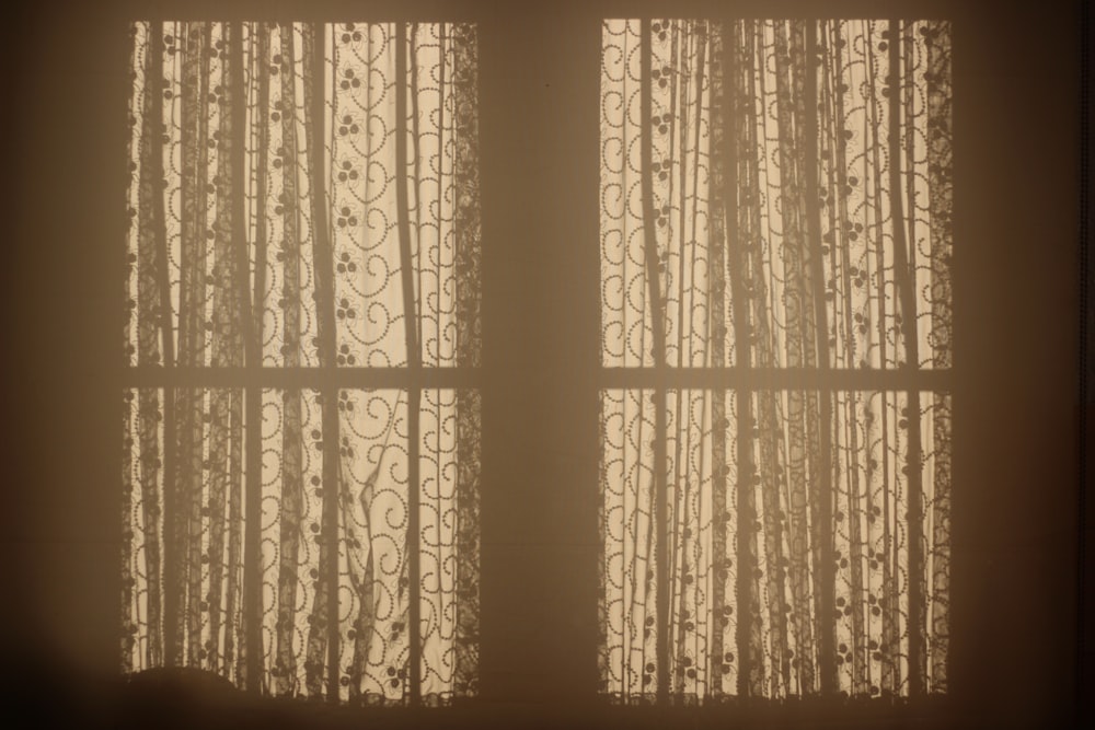 a window with sheer curtains and a cat sitting on the window sill