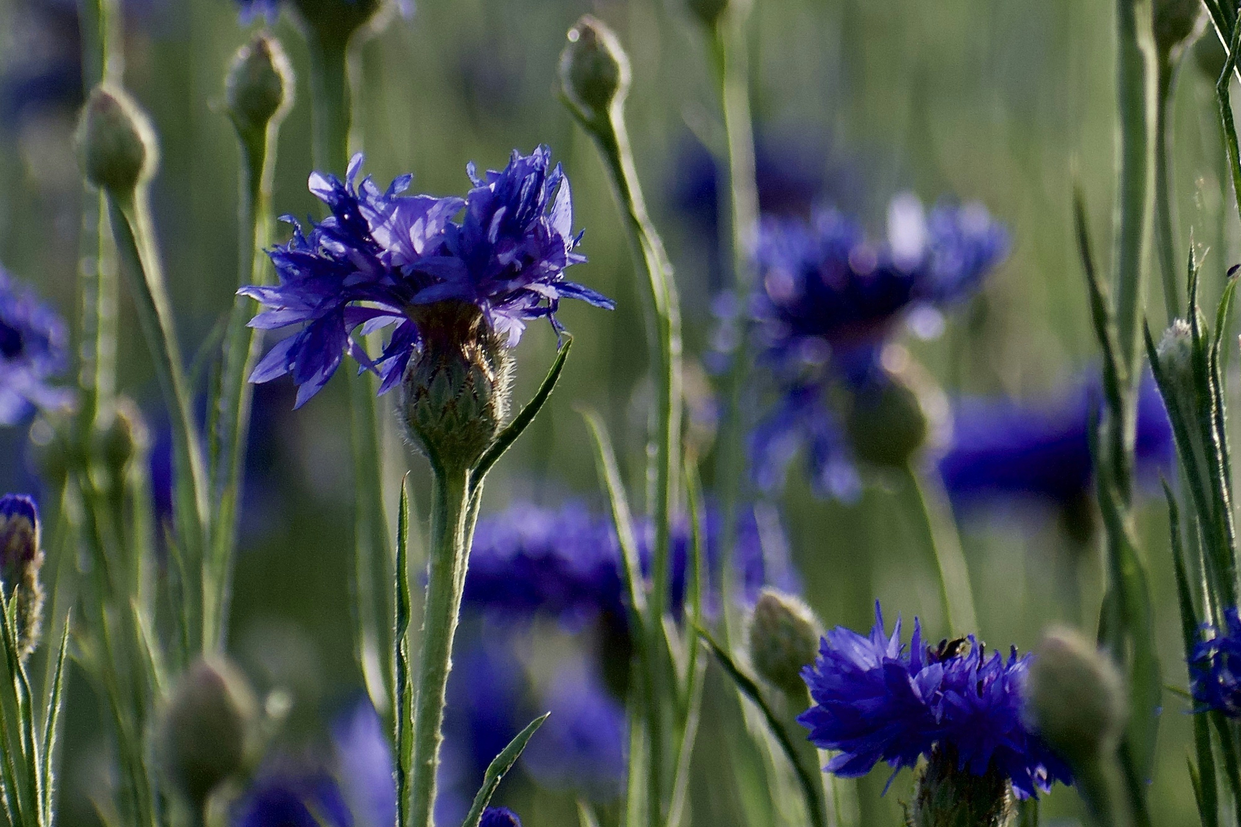 Photo by elisastonephotography