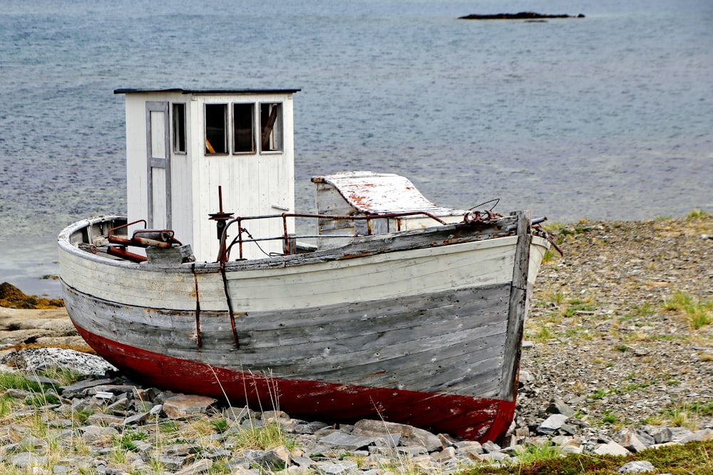 red and white boat on shore during daytime