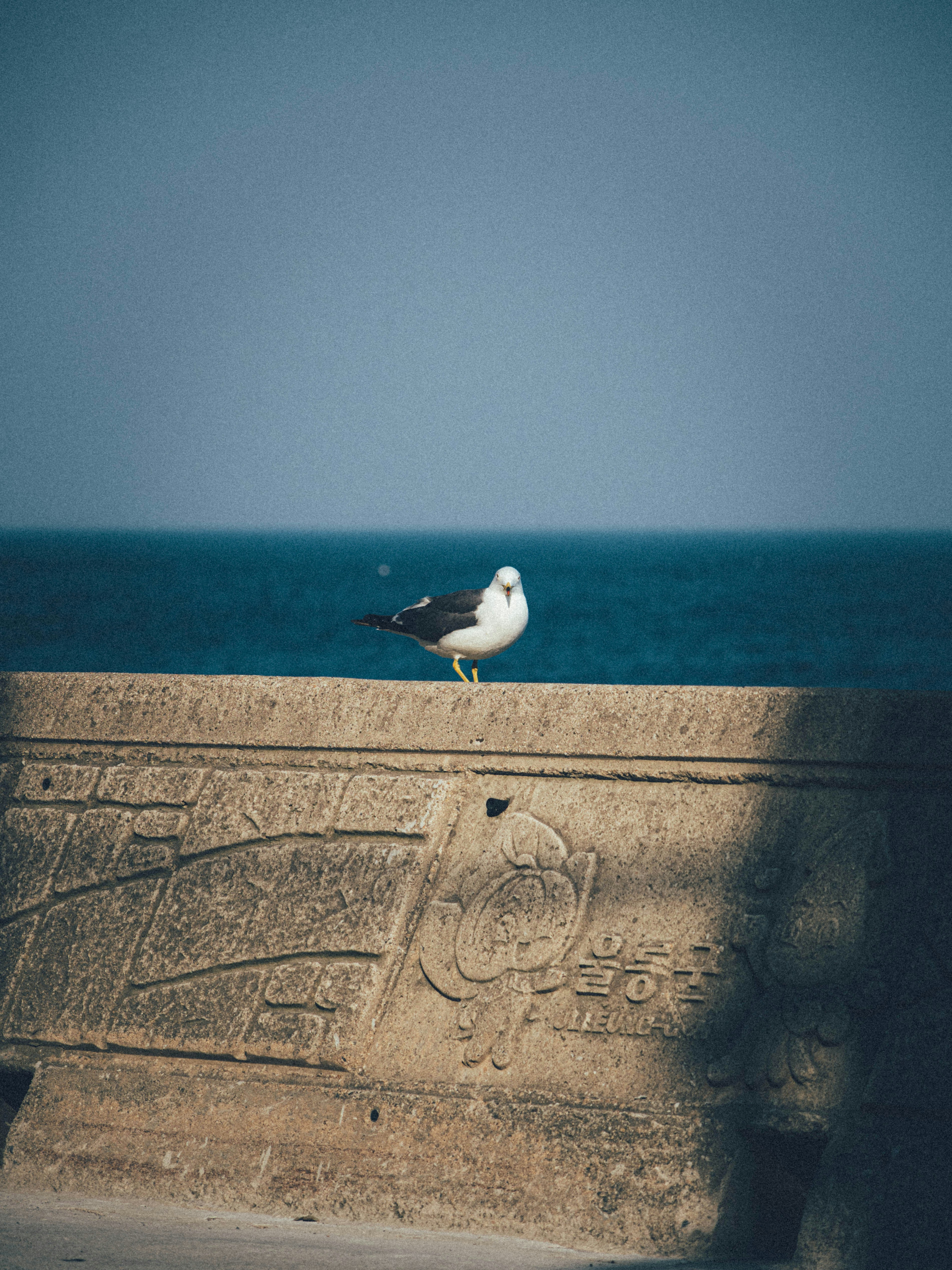 Photo by bundo