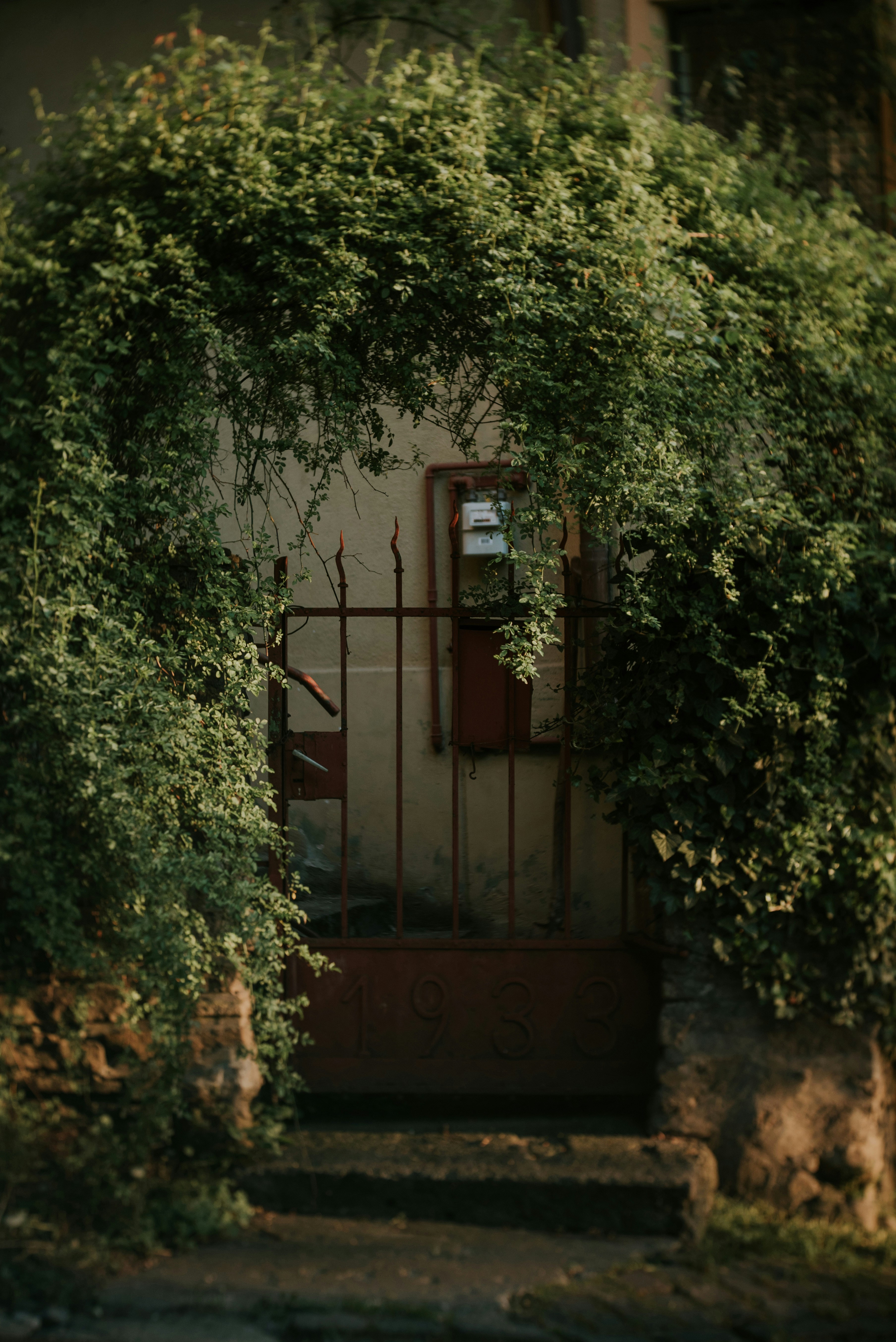 Photo by eduardgross