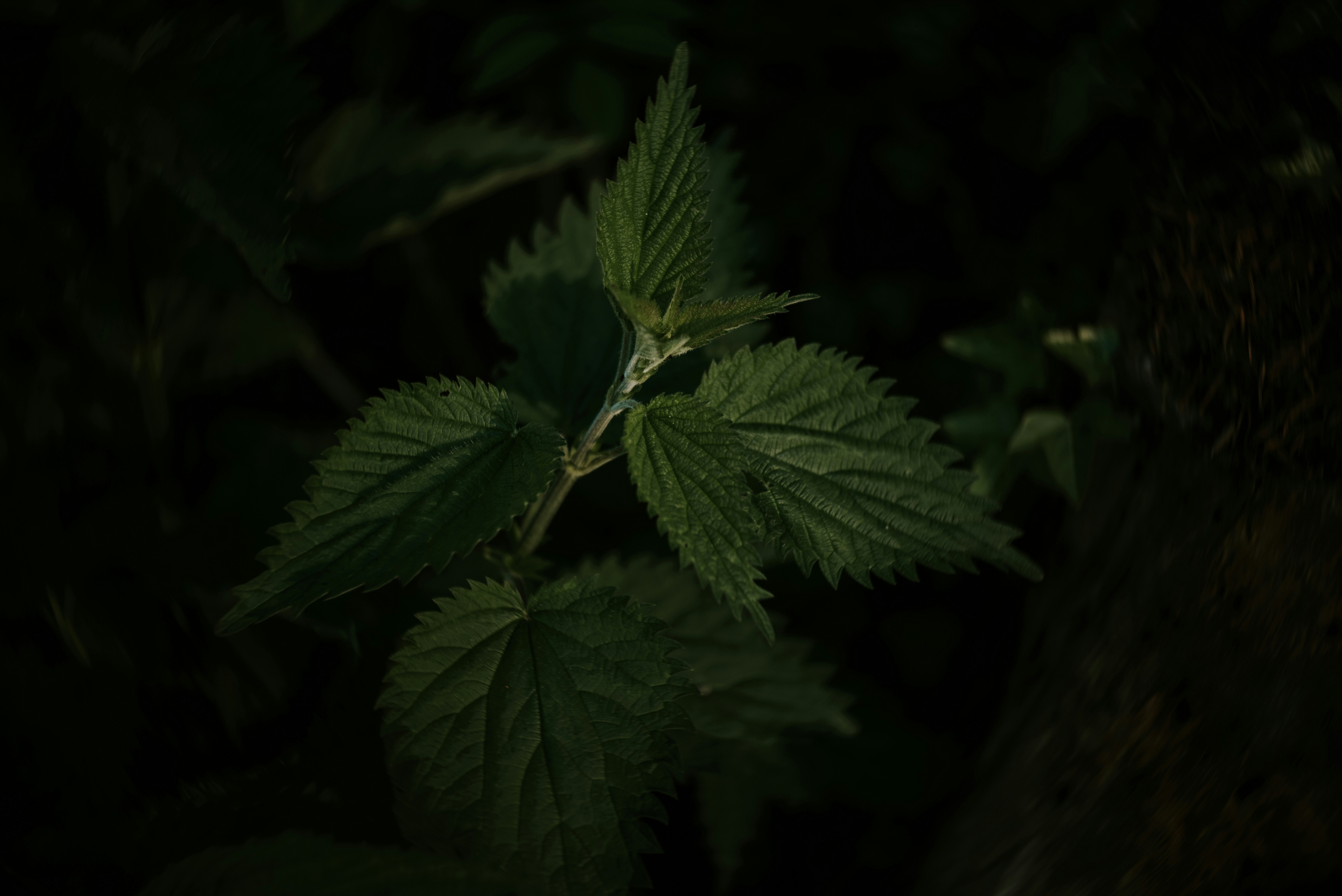 Photo by eduardgross