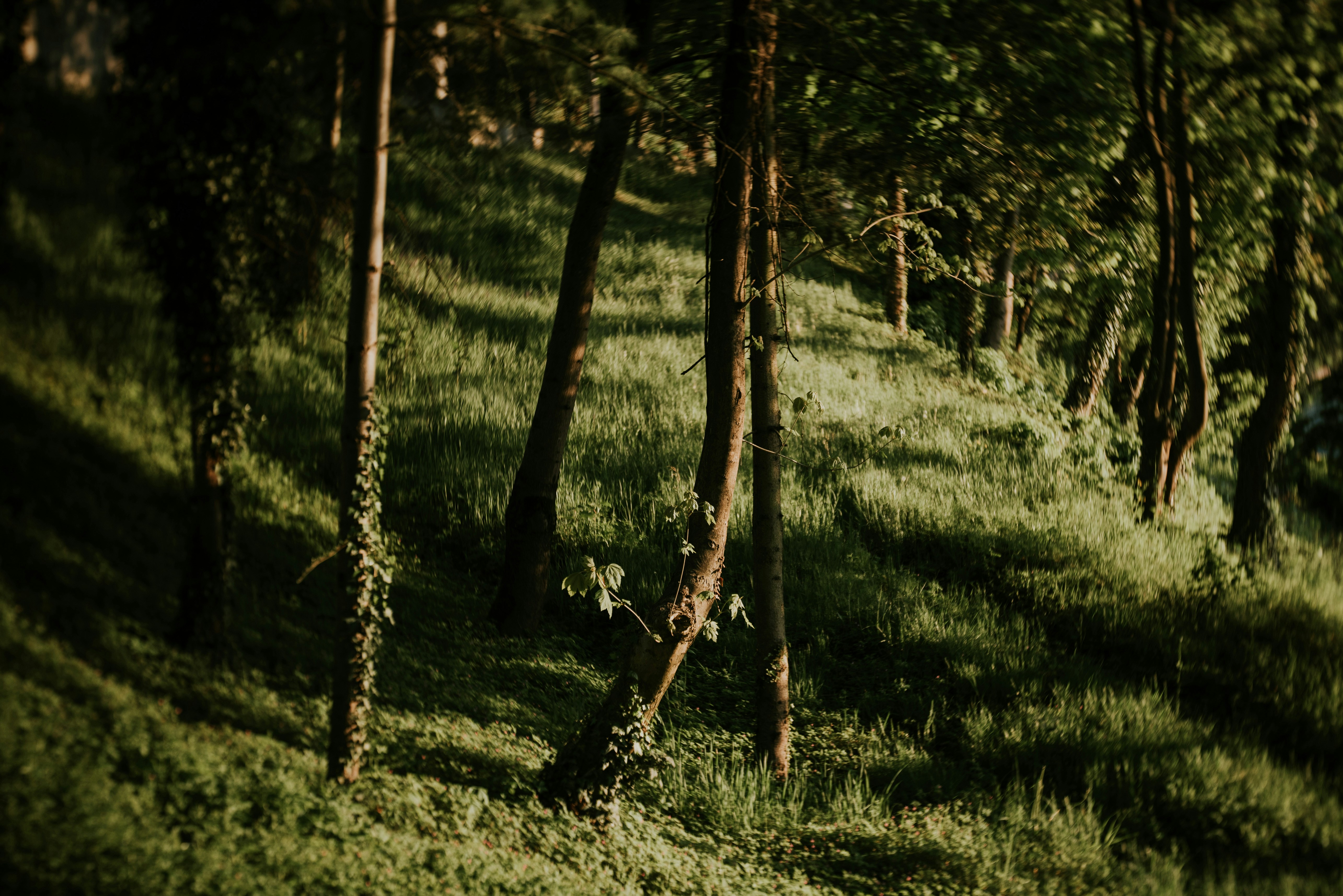 Photo by eduardgross