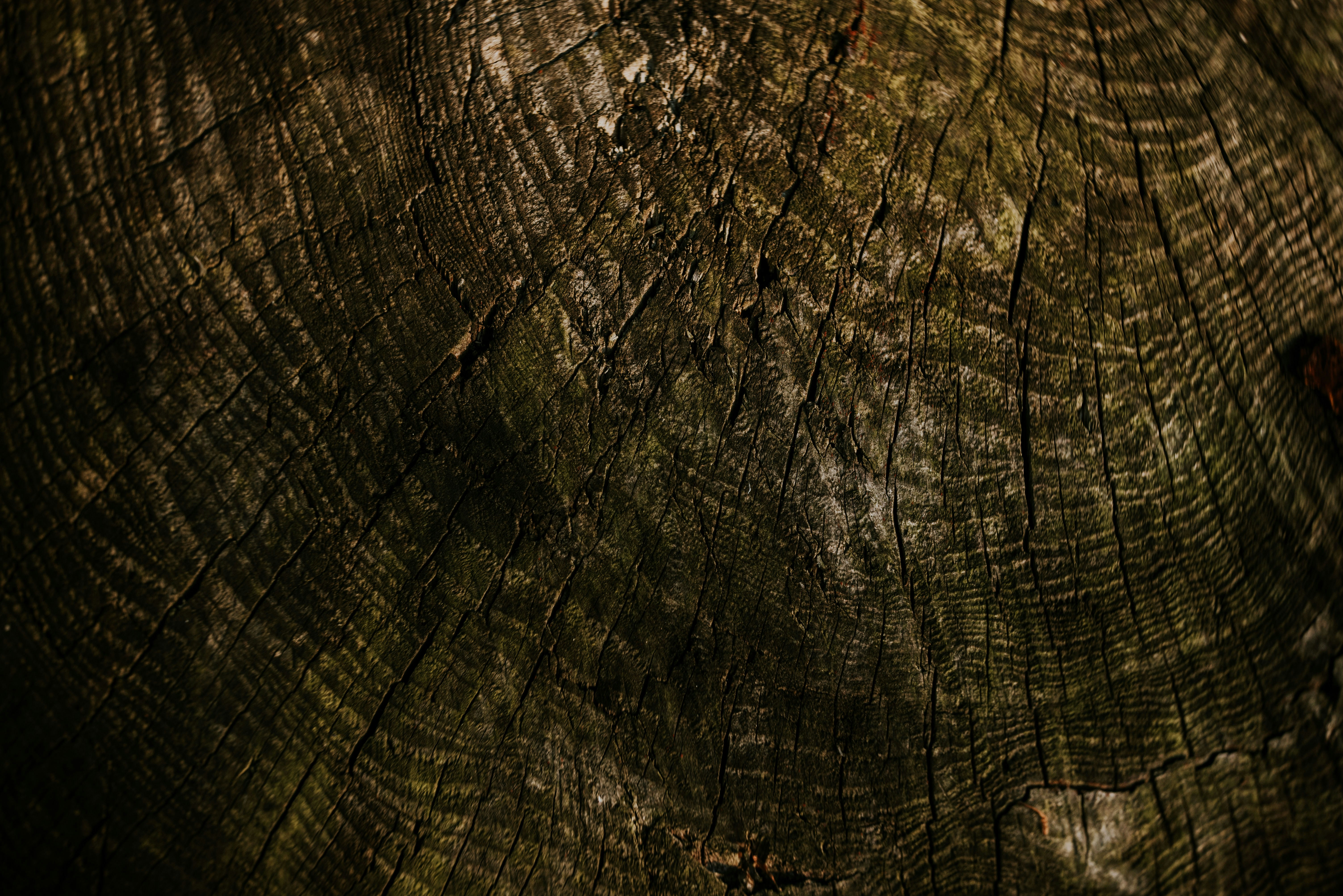 Photo by eduardgross