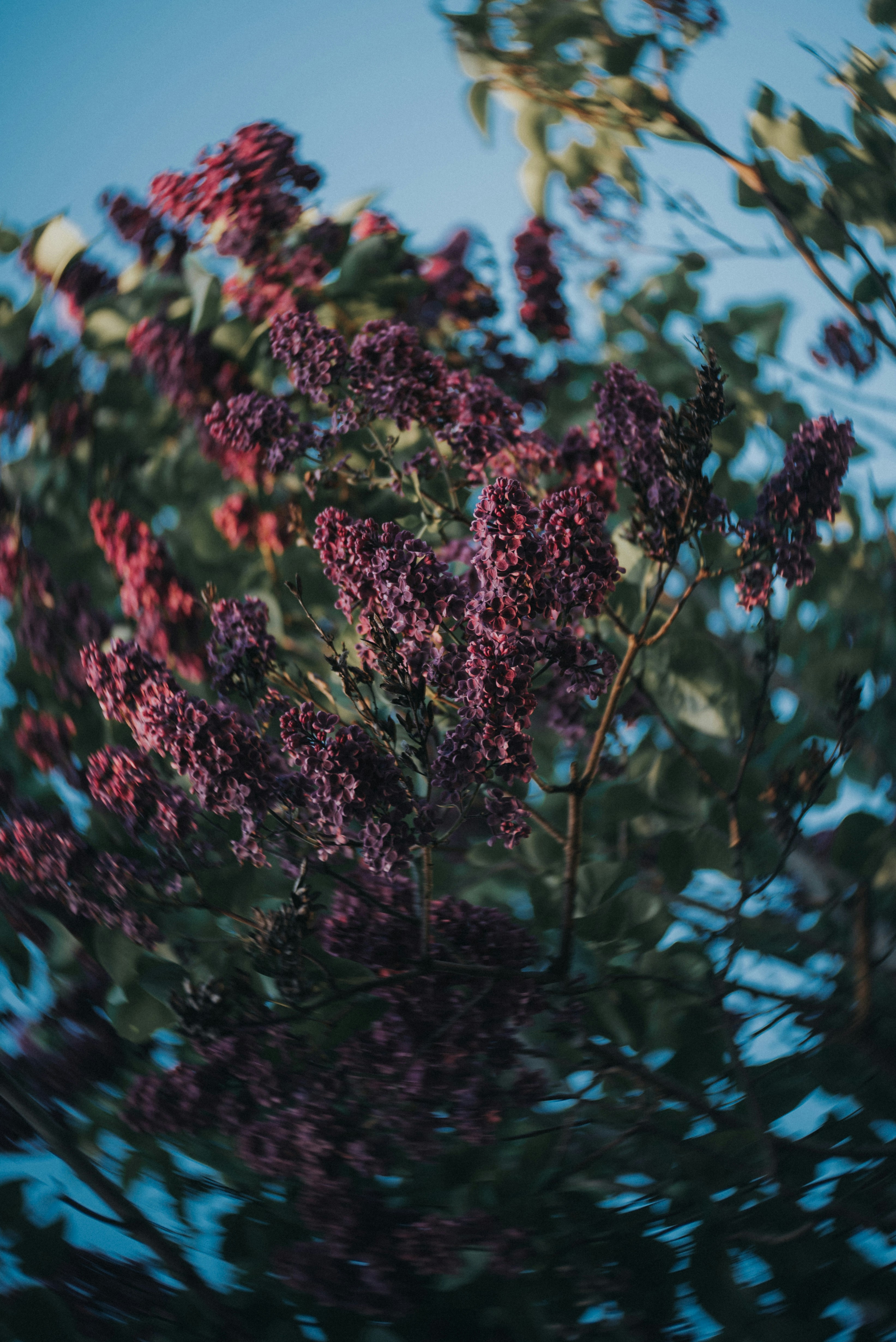 Photo by eduardgross