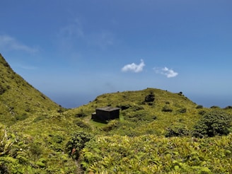 A serene finca surrounded by lush green hills under a clear blue sky.