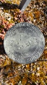 A round metallic survey marker embedded in the ground, inscribed with text including 'BRITISH SURVEY,' 'COLUMBIA BRANCH,' and warning about removal penalties. The marker is surrounded by patches of brown and green vegetation.