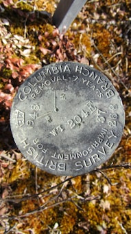 A round metallic survey marker embedded in the ground, inscribed with text including 'BRITISH SURVEY,' 'COLUMBIA BRANCH,' and warning about removal penalties. The marker is surrounded by patches of brown and green vegetation.
