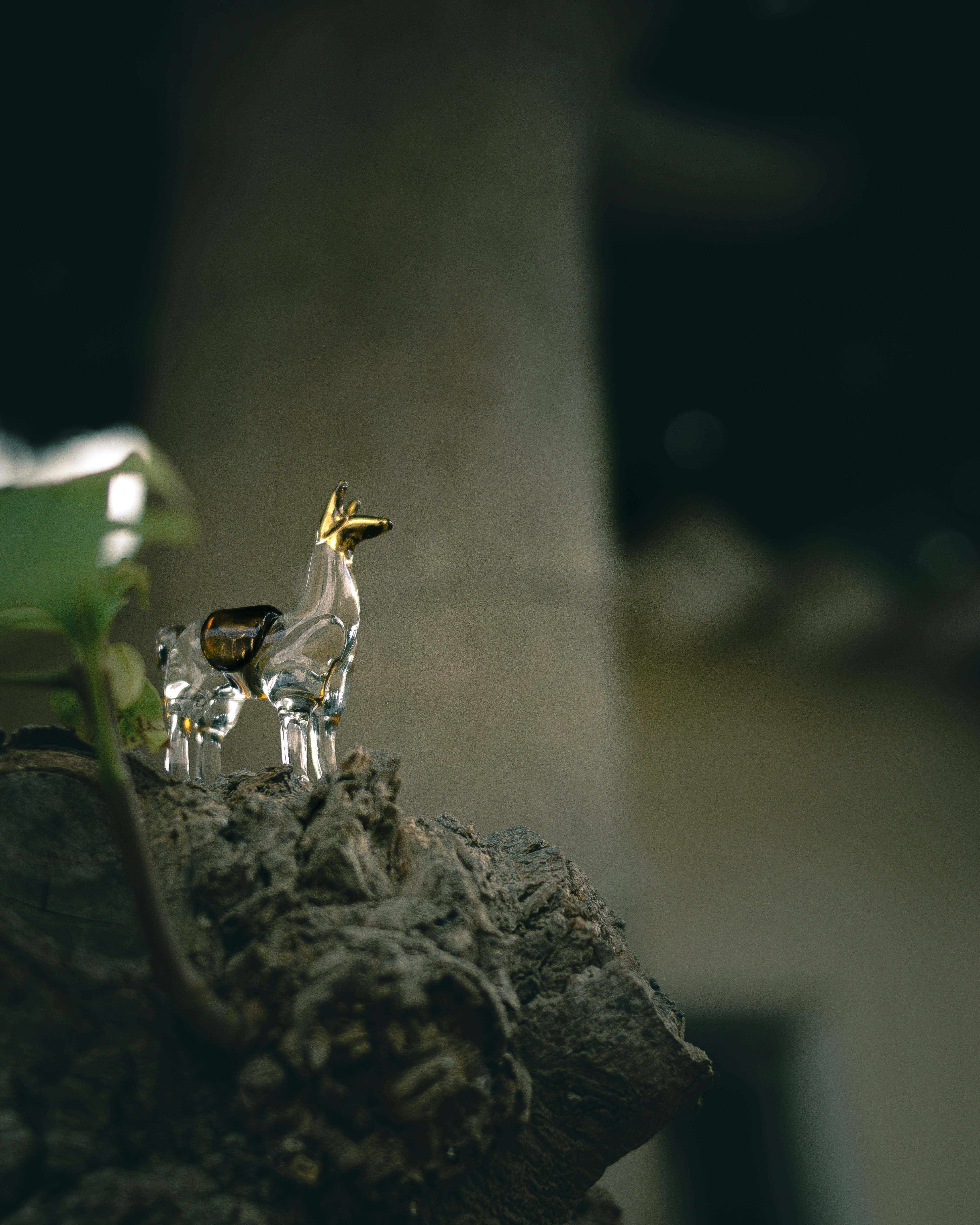 gold and white frog figurine