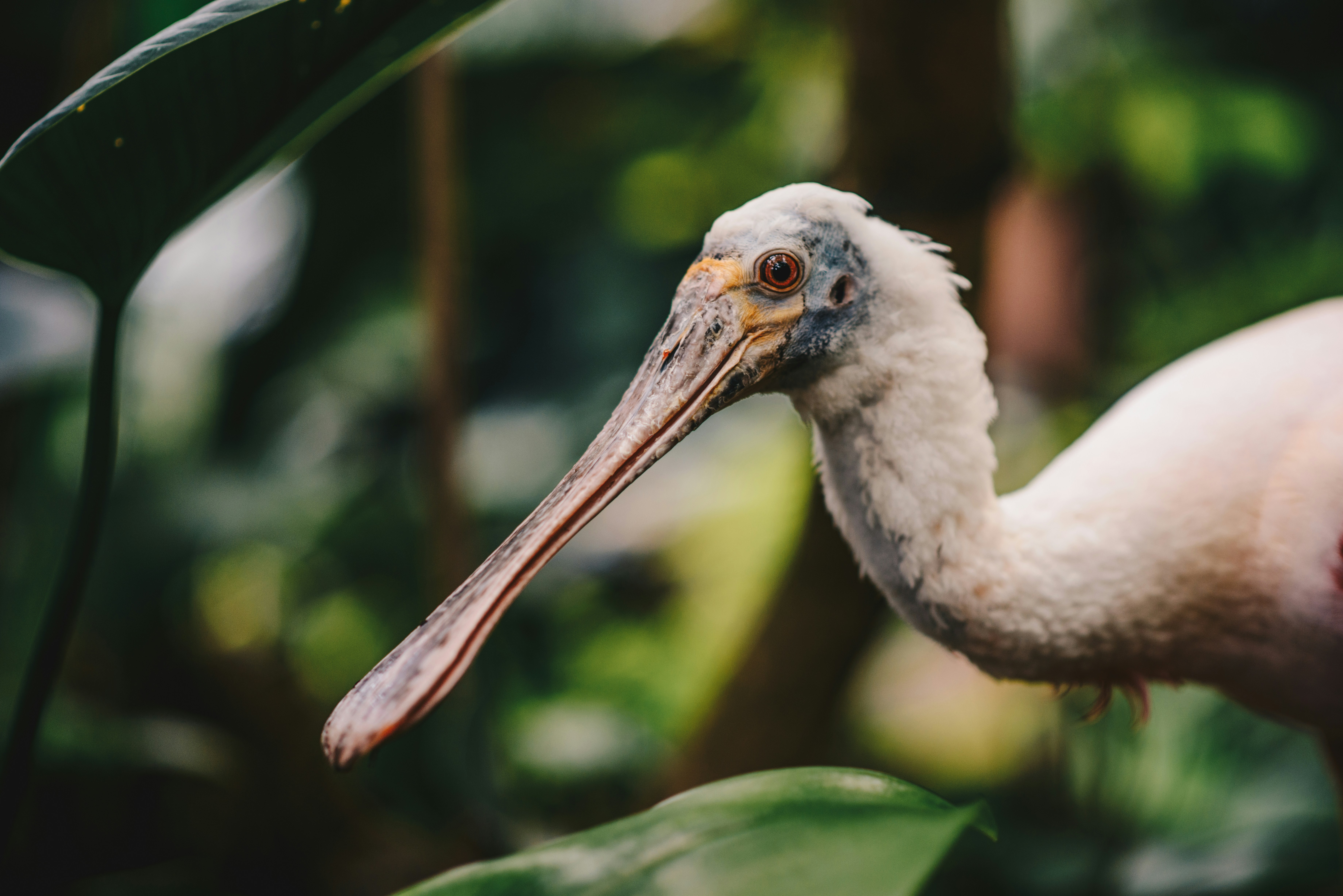 Photo by frejanelson