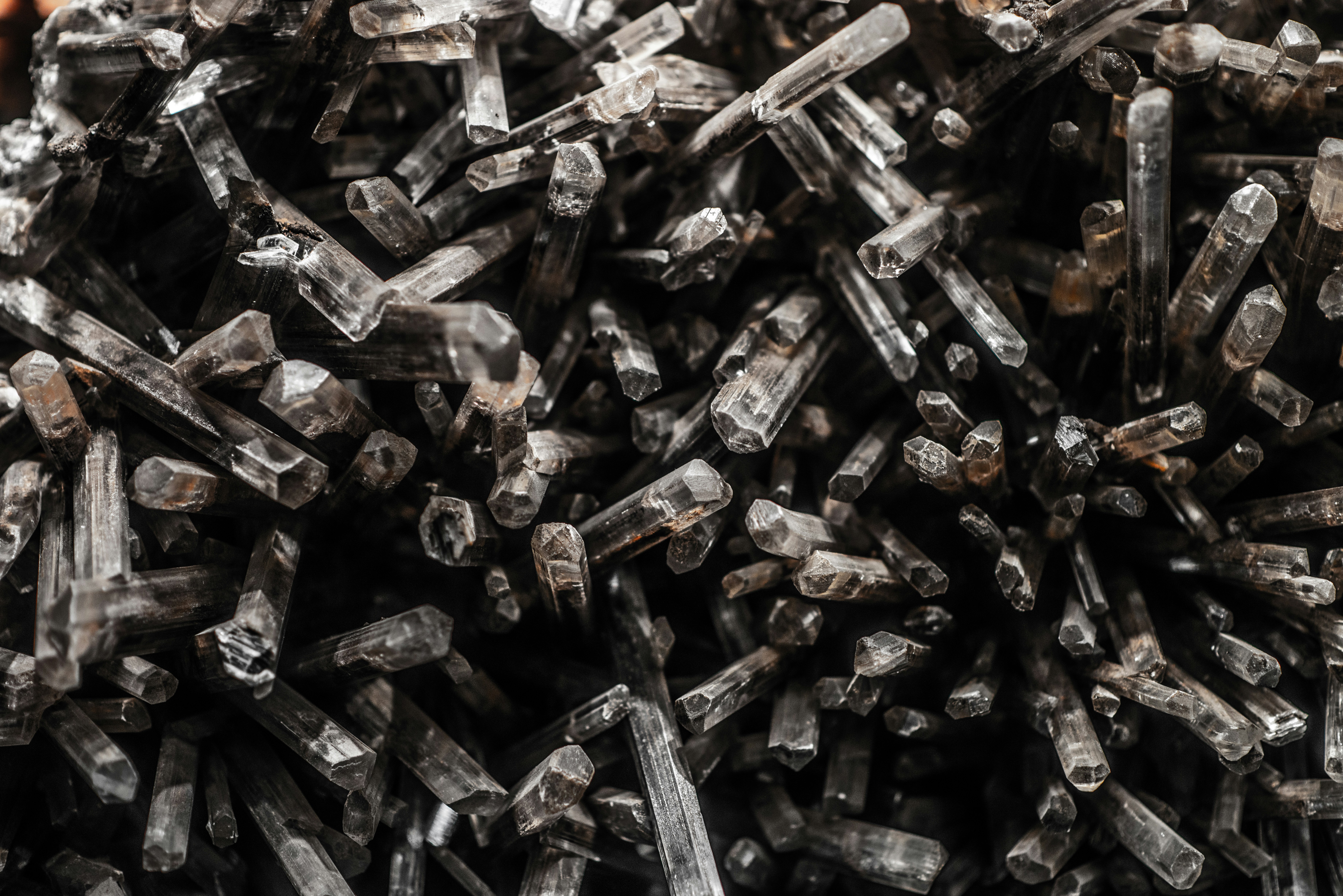 Photo by frejanelson