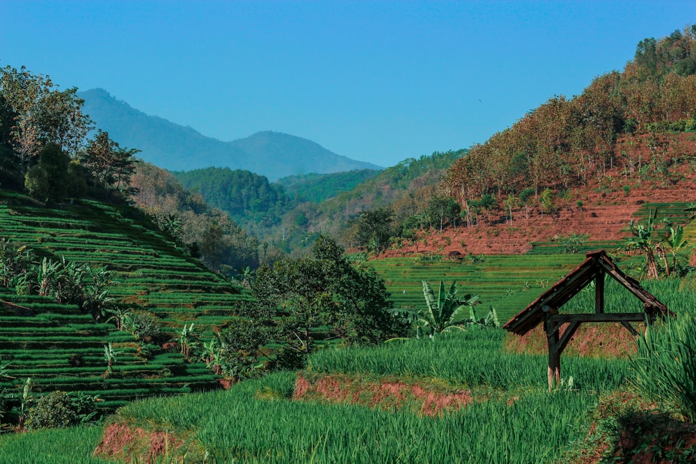 green grass field near mountain during daytime