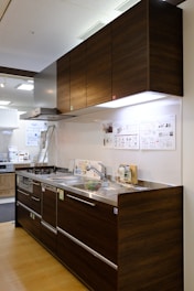 A modern kitchen setup featuring dark wood cabinetry with a glossy finish. The kitchen includes a stainless steel double sink and a gas stove with a steel hood. Under-cabinet lighting highlights the sleek and minimalistic design. Posters and informational sheets are displayed on the wall behind the sink. The flooring is made of light wood with a smooth finish.