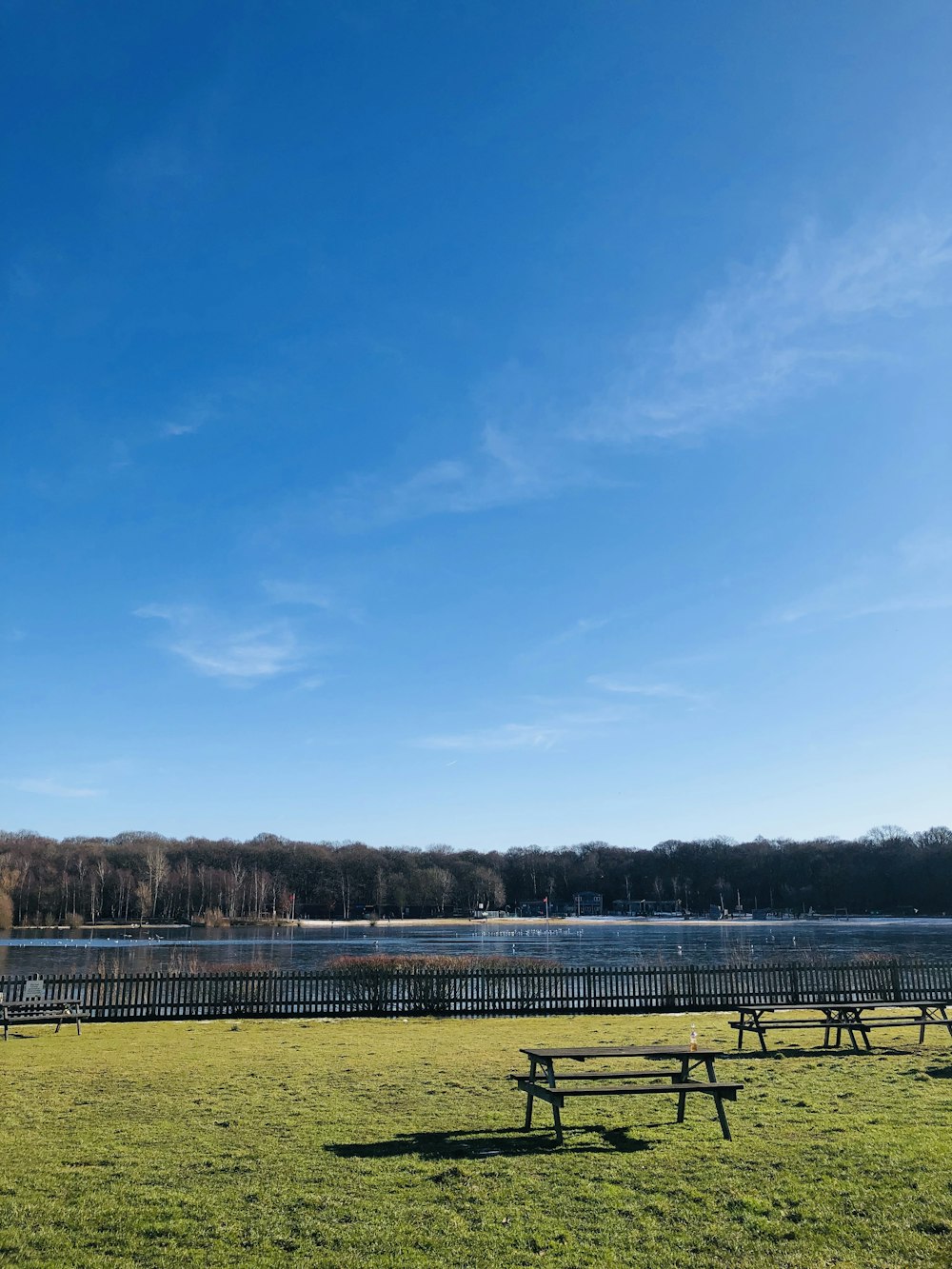 Campo de hierba verde bajo el cielo azul durante el día