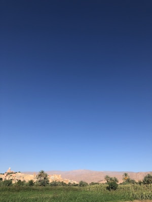 Photo 1589011279668 F3652a1591c8?q=85&w=300&h=400&fit=crop