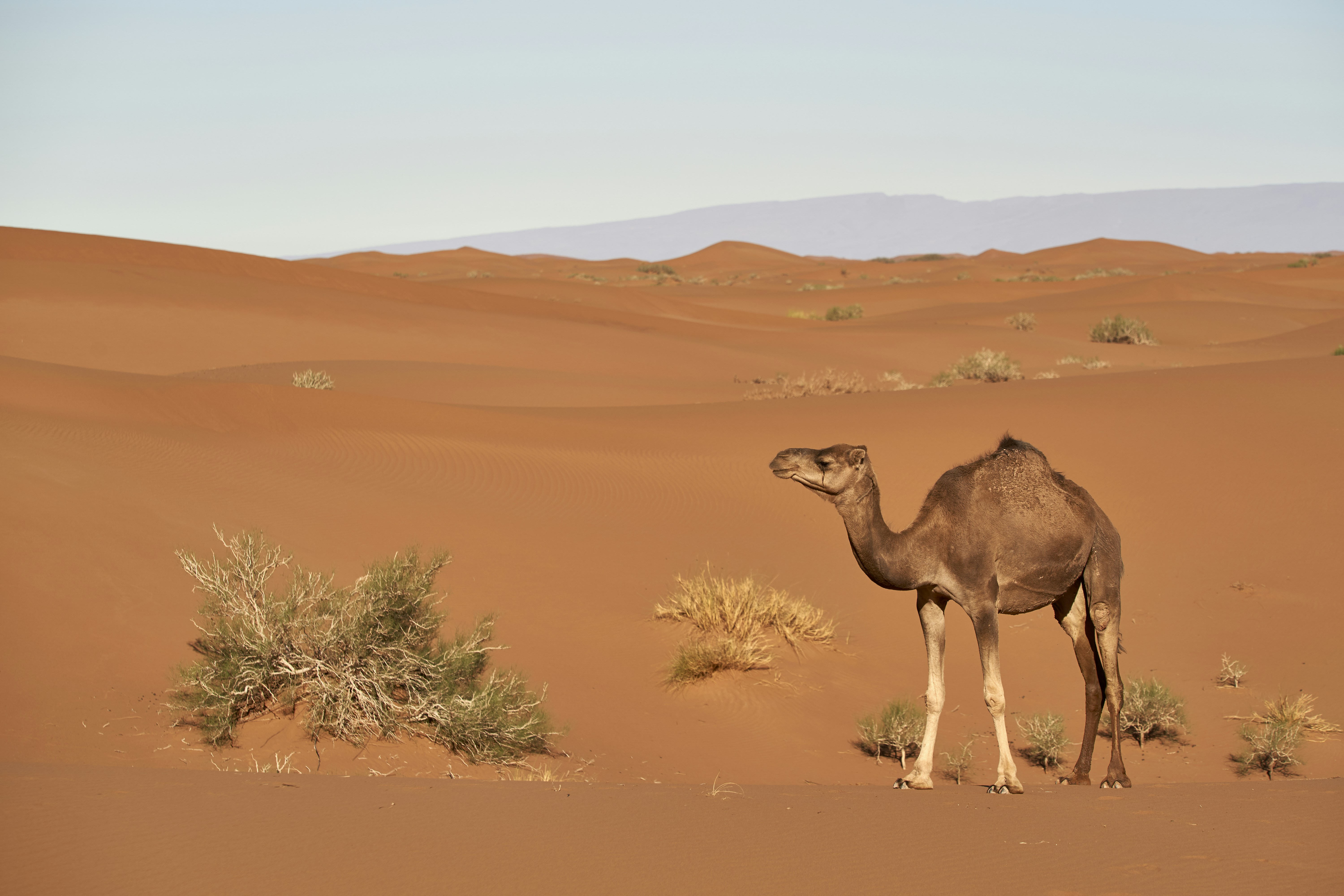 Tourism and Cultural Heritage: Bridging Past and Present (image credits: unsplash)