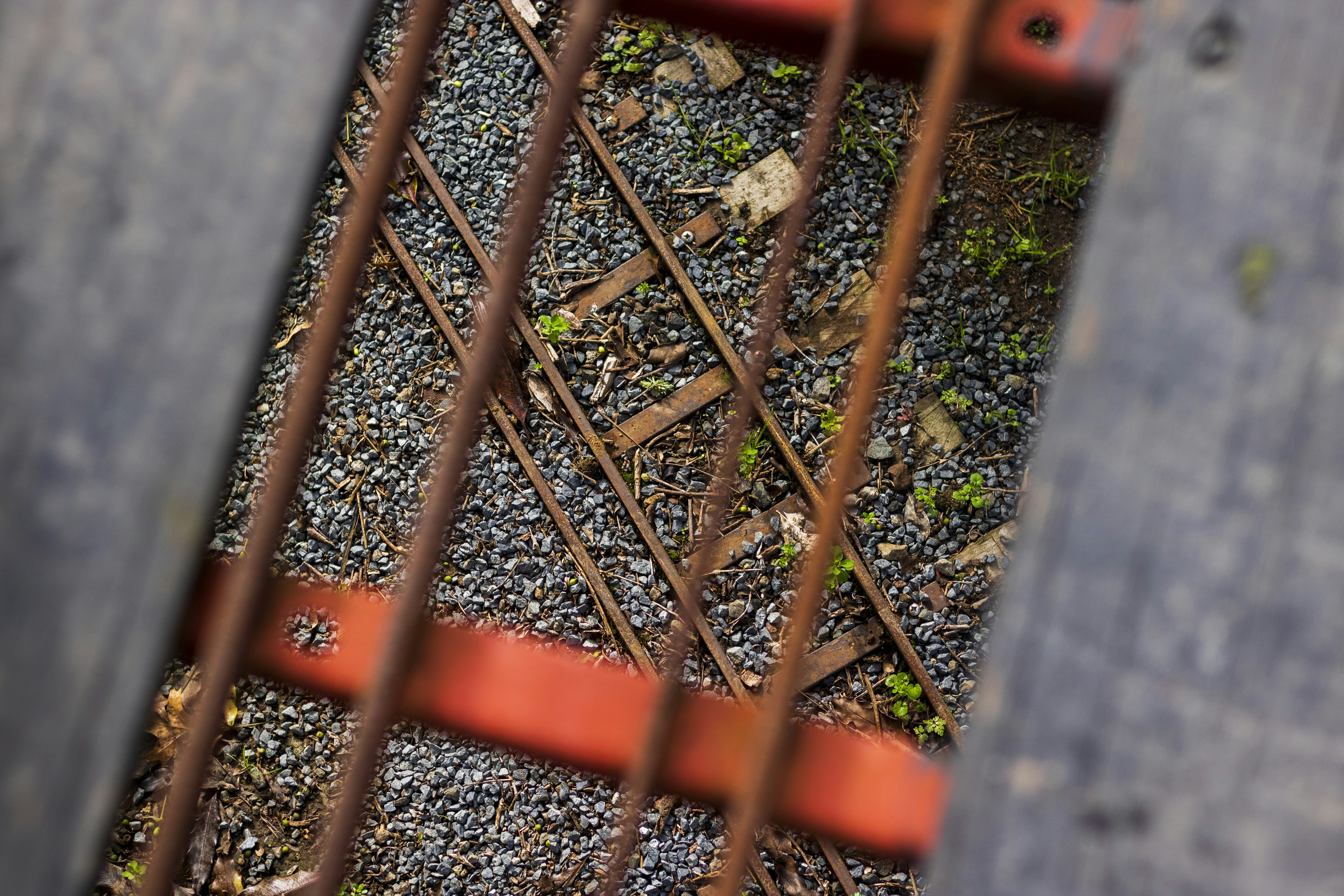 brown metal fence near green plants