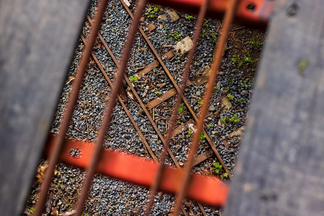 brown metal fence near green plants