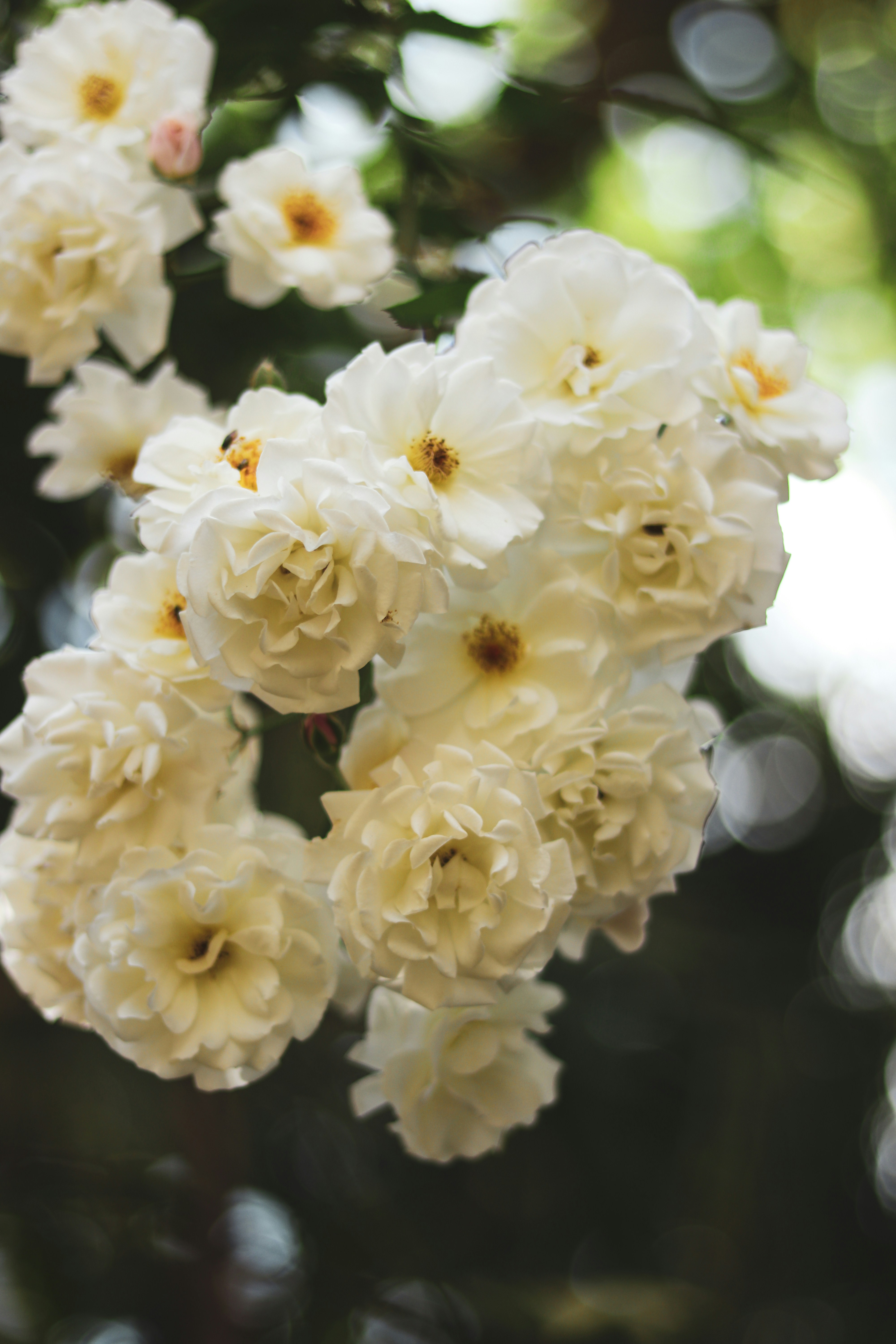 Photo by anway_pawar