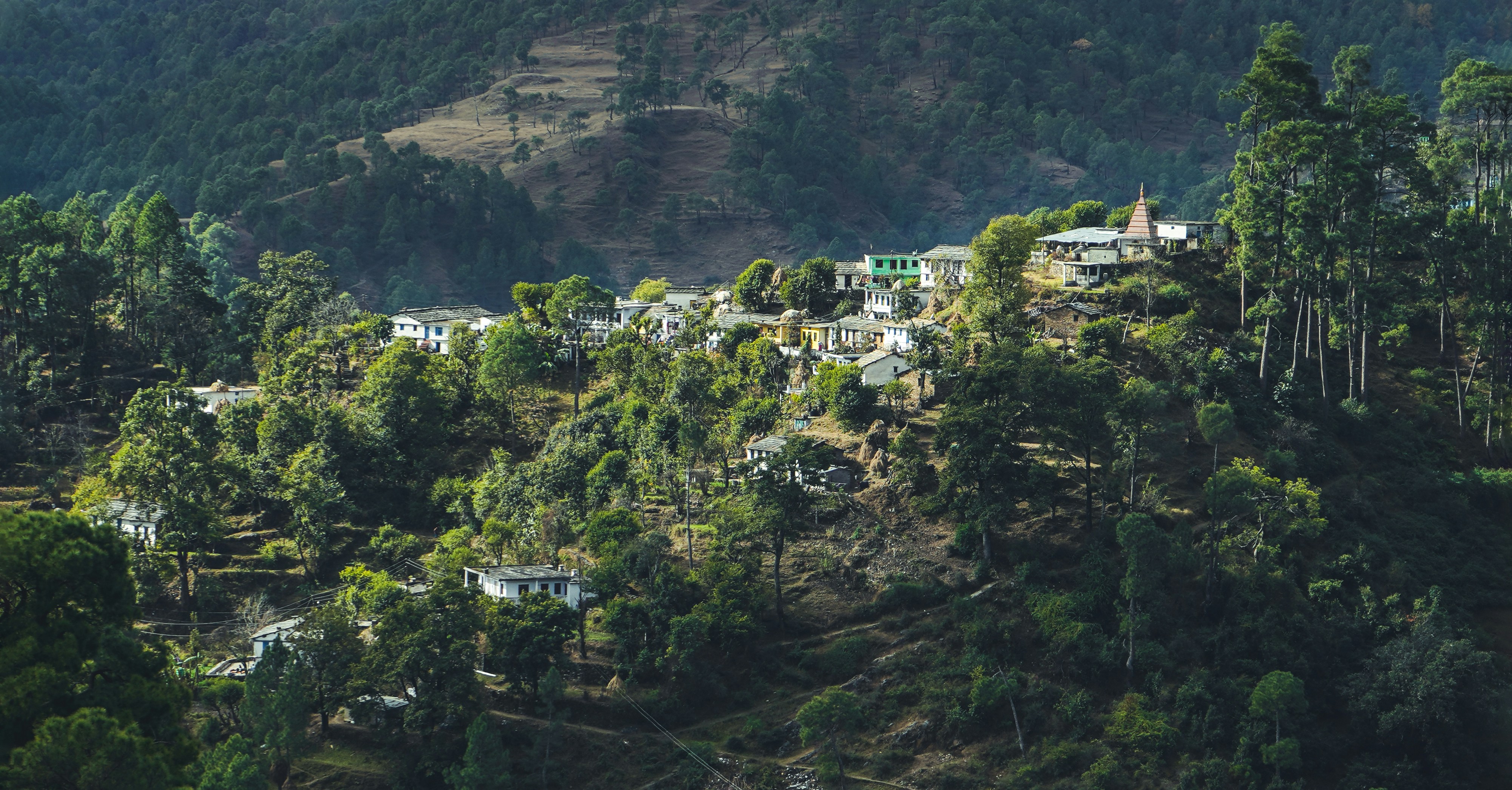 Photo by yogendras31