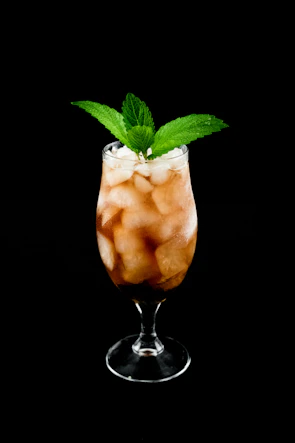 A refreshing iced coffee in a tall glass with condensation, garnished with a sprig of mint.