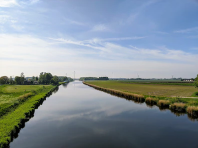 A serene landscape showing a river flowing through a forest with wind turbines in the background symbolizing sustainable environmental consulting.