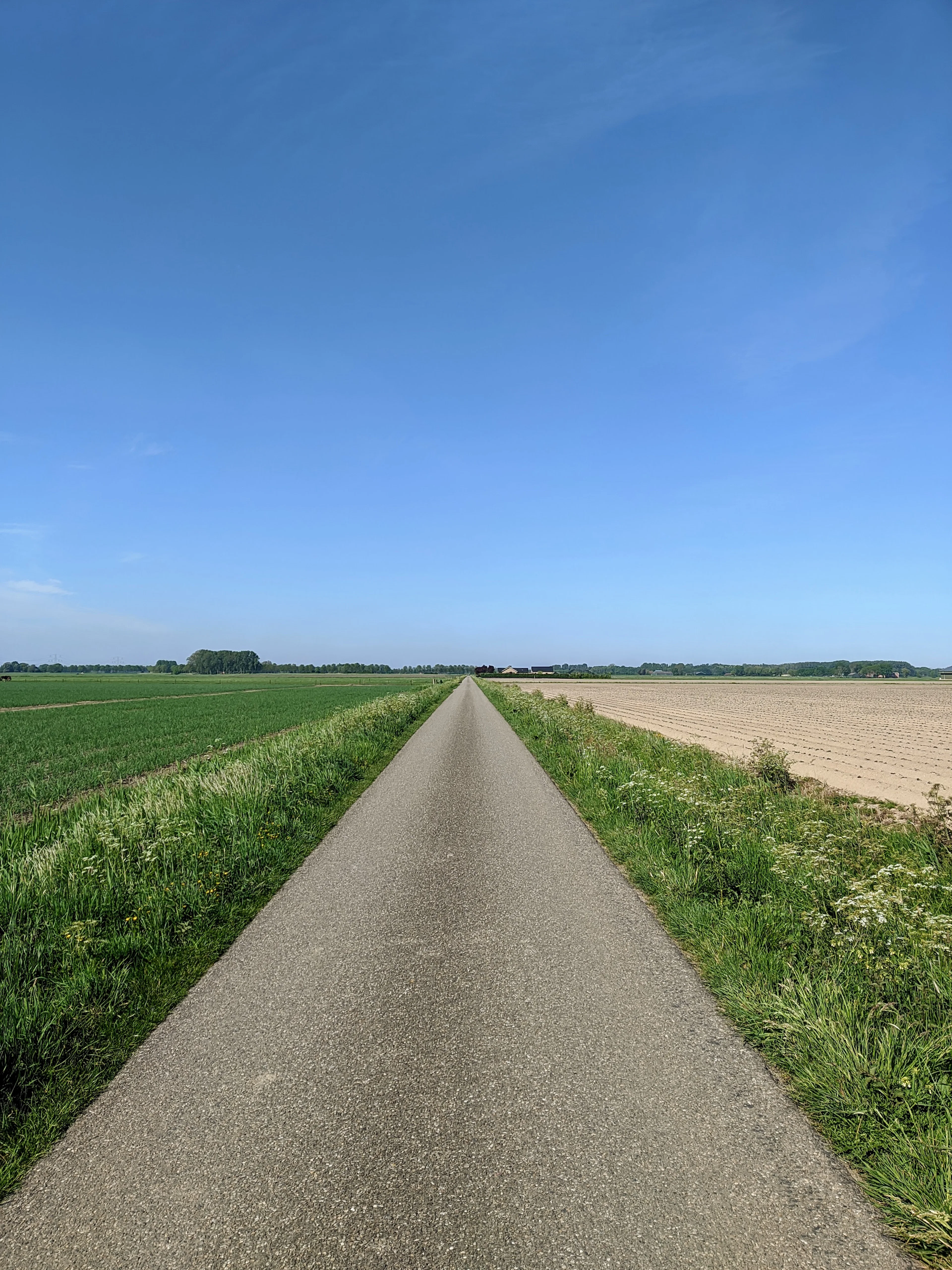 Concrete road between level green fields