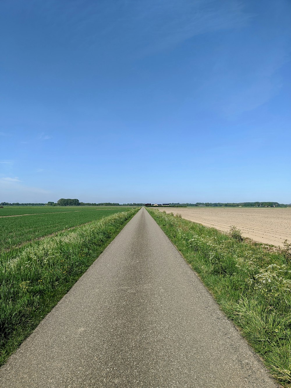 gray concrete road between green grass field under blue sky during daytime