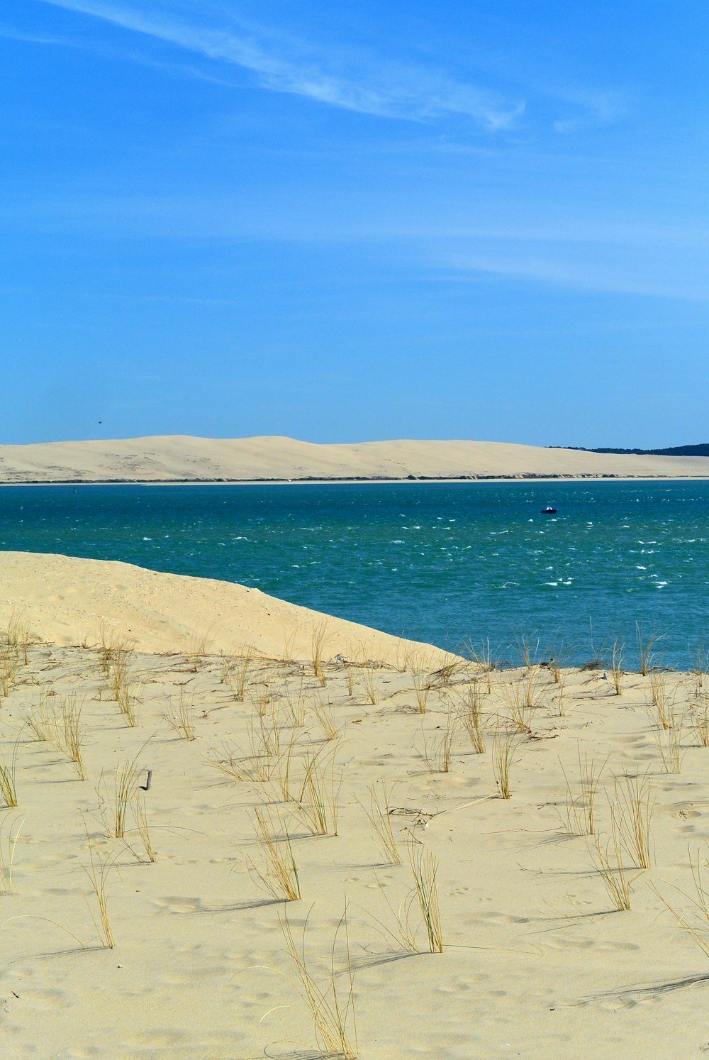 areia marrom perto do corpo de água durante o dia