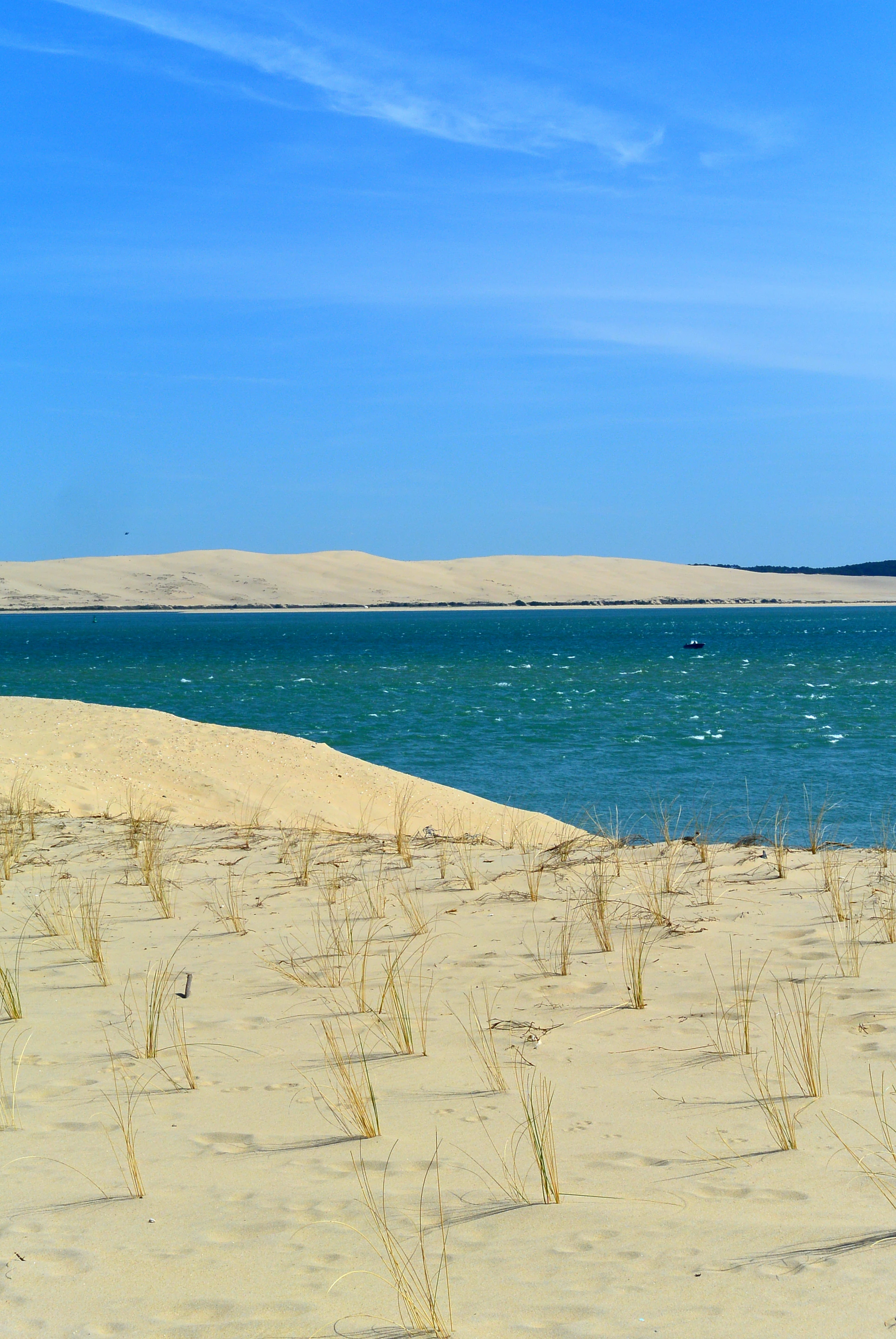 brown sand near body of water during daytime