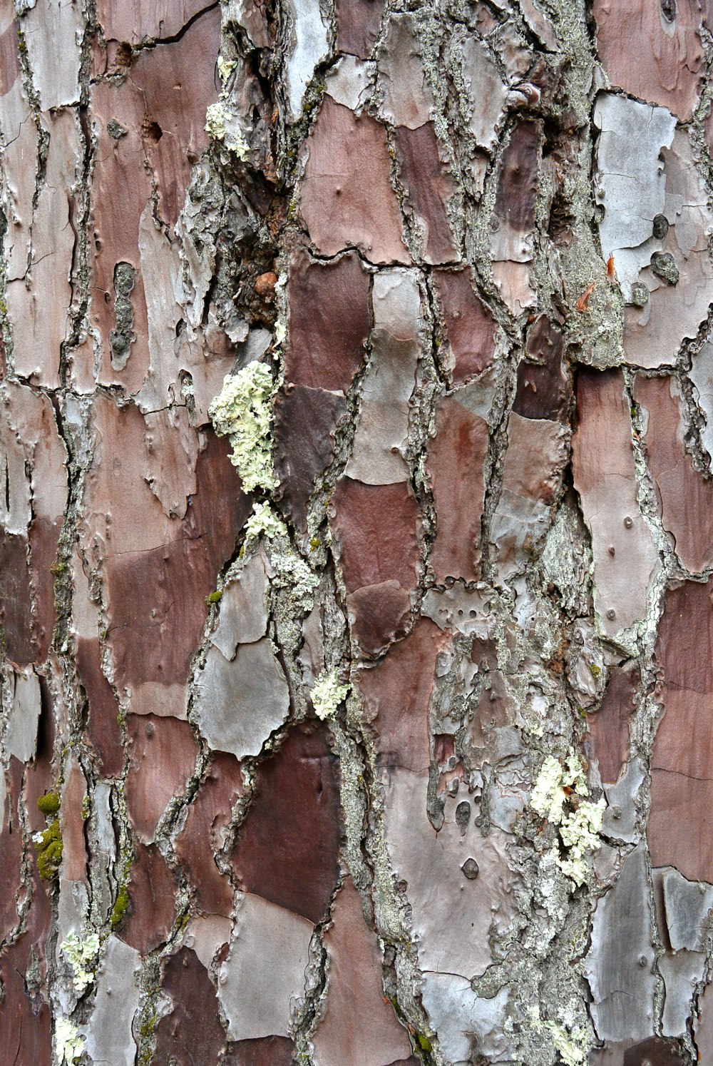 brown and white concrete wall