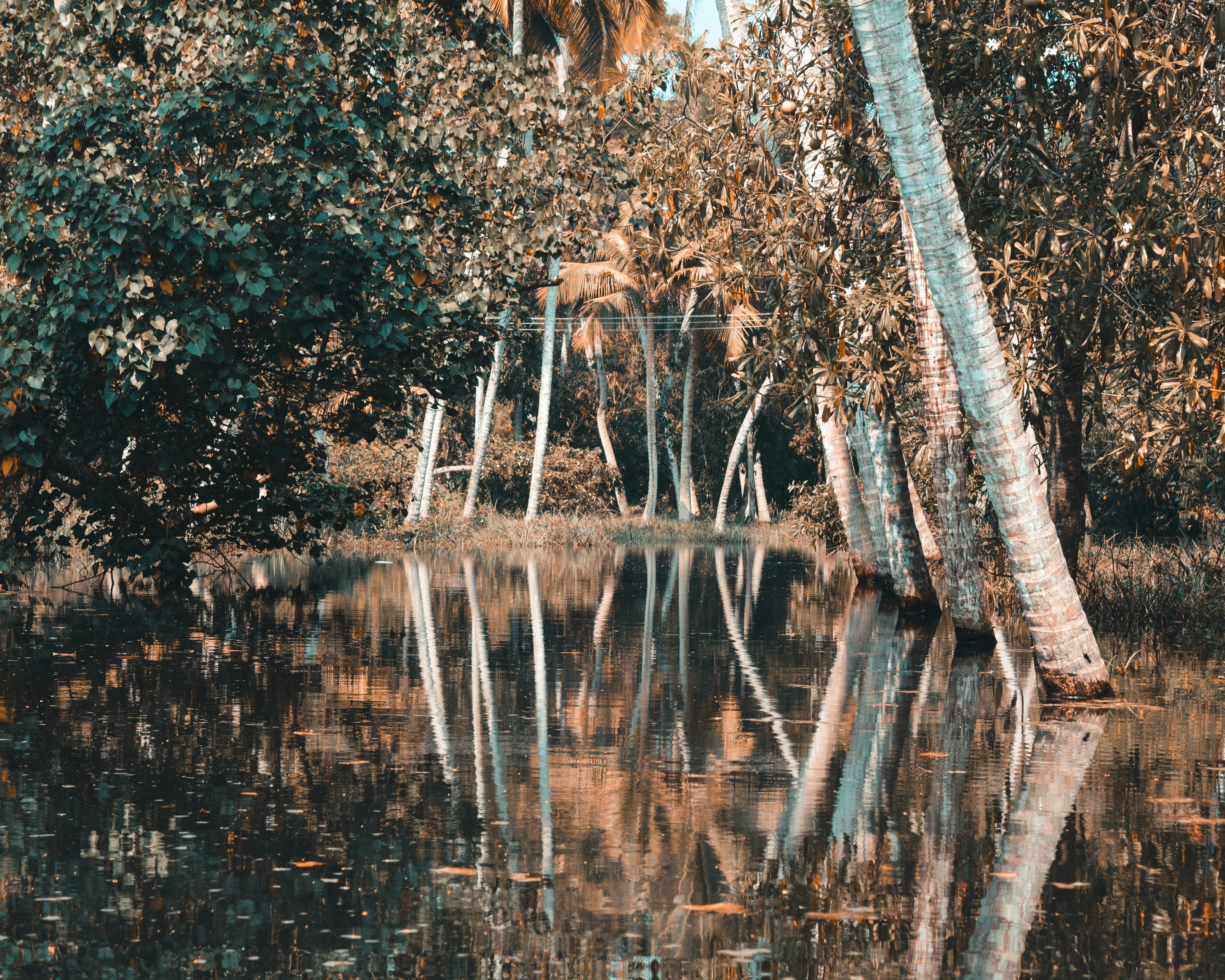 Photo by captain_slow07