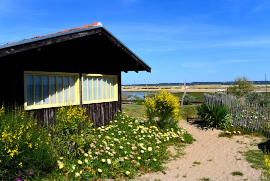 brown wooden house near green grass field under blue sky during daytime in Lège-Cap-Ferret France