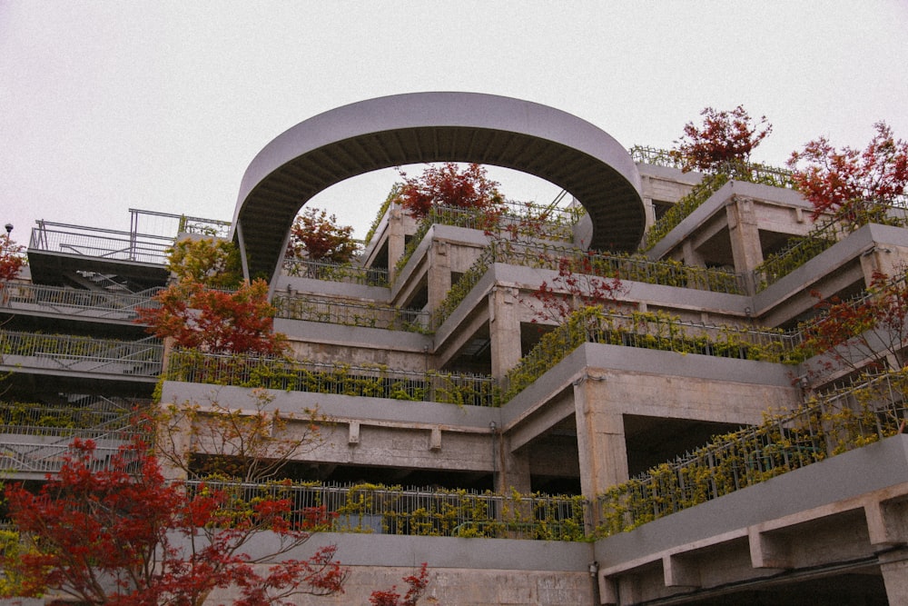 white concrete building with red and green plants