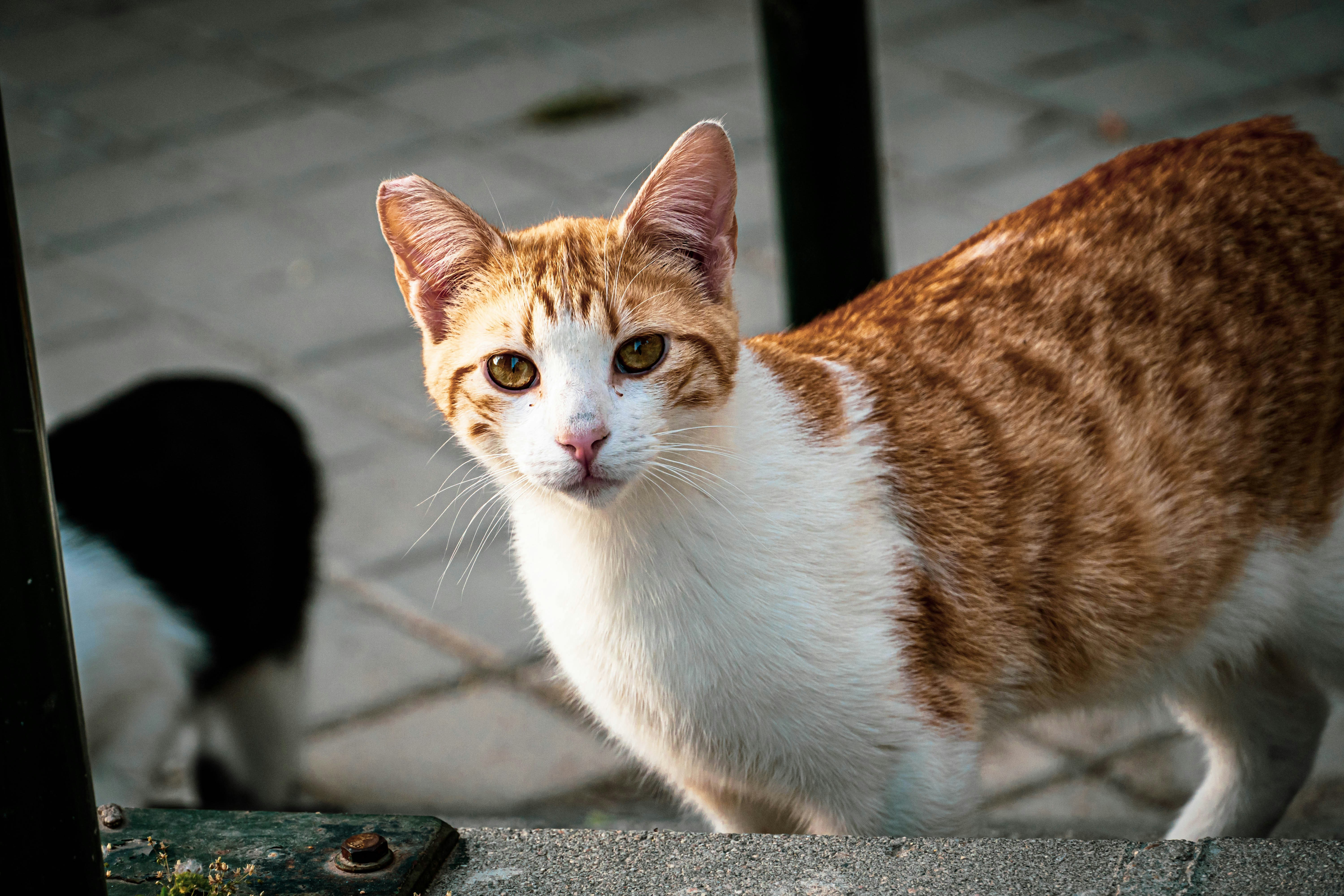 Photo by joseantoniogall