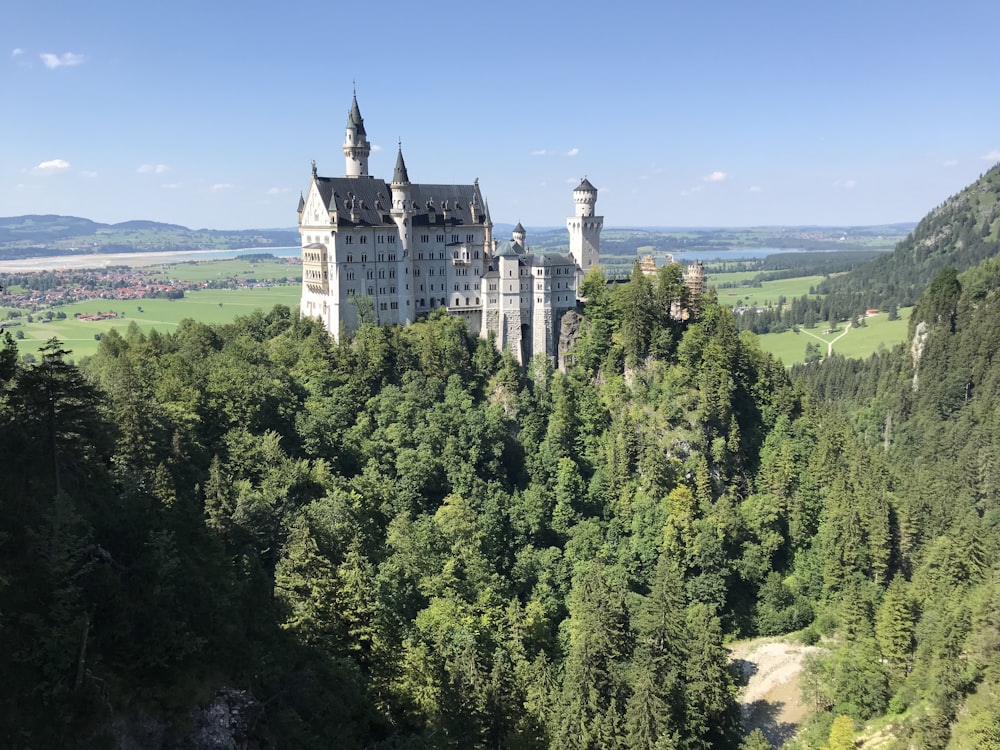 white and gray castle on top of green trees during daytime